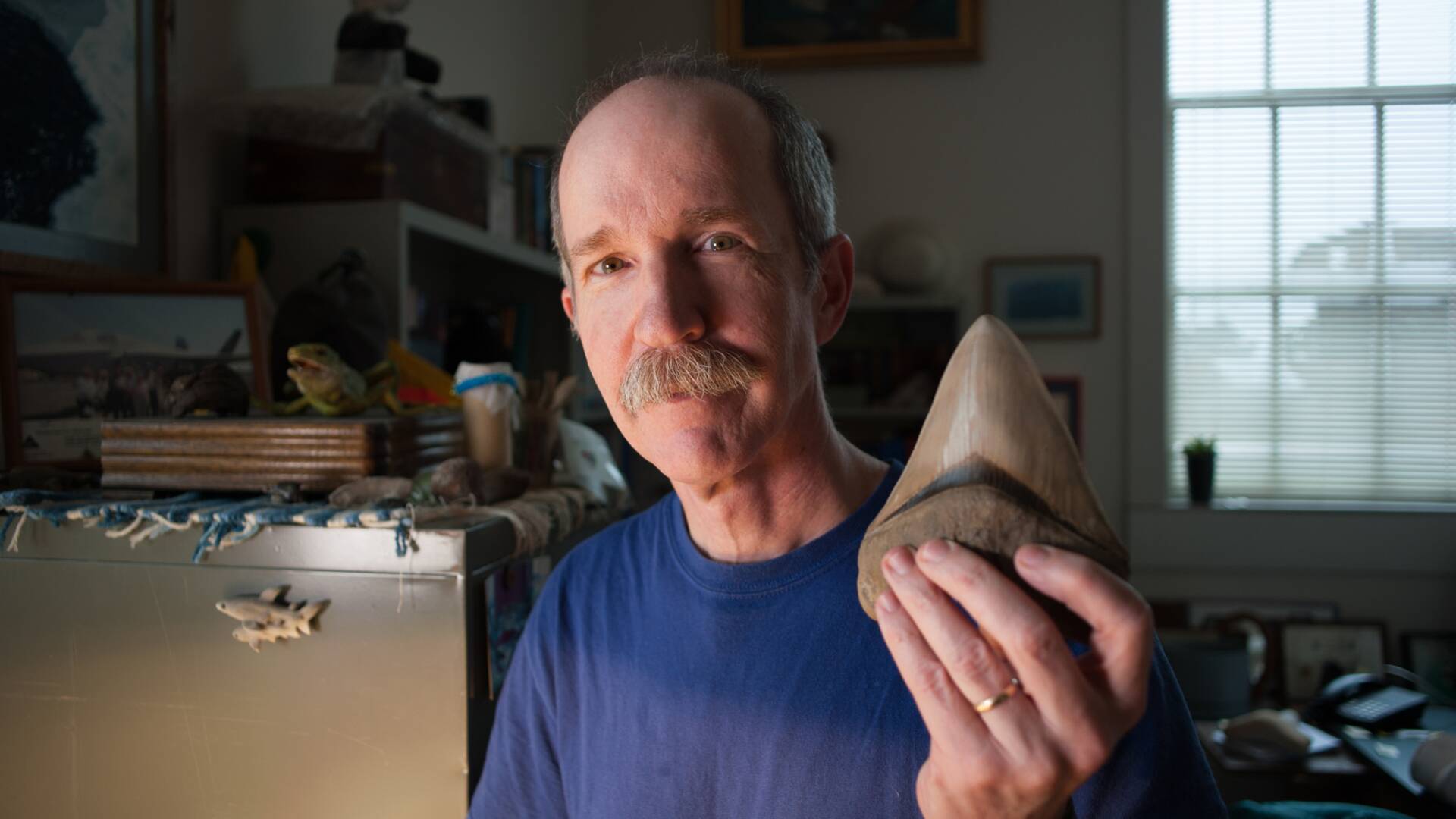 Las diez bestias más grandes del mundo