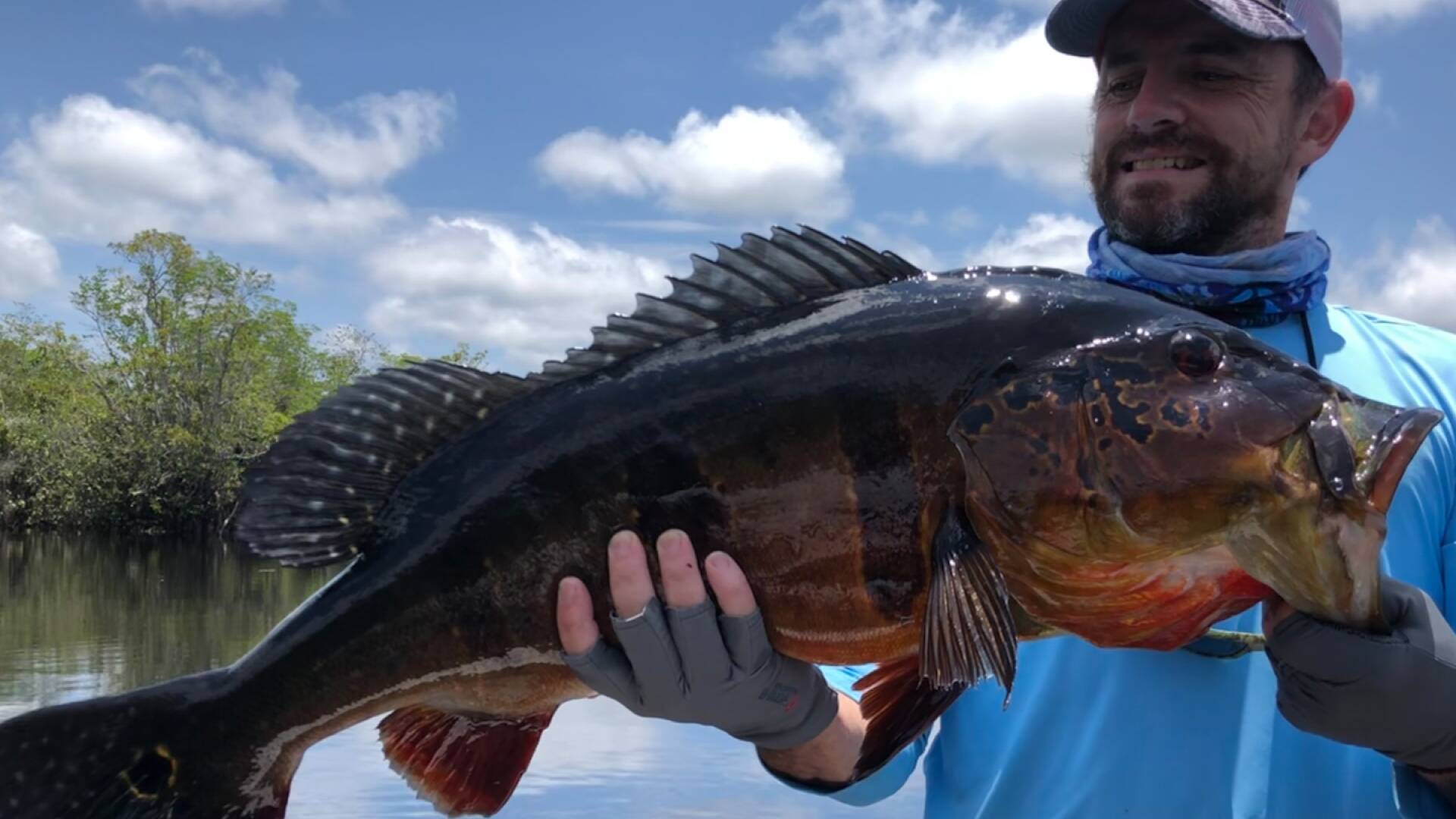 De Viaje: Los gigantes de Jurubaxí