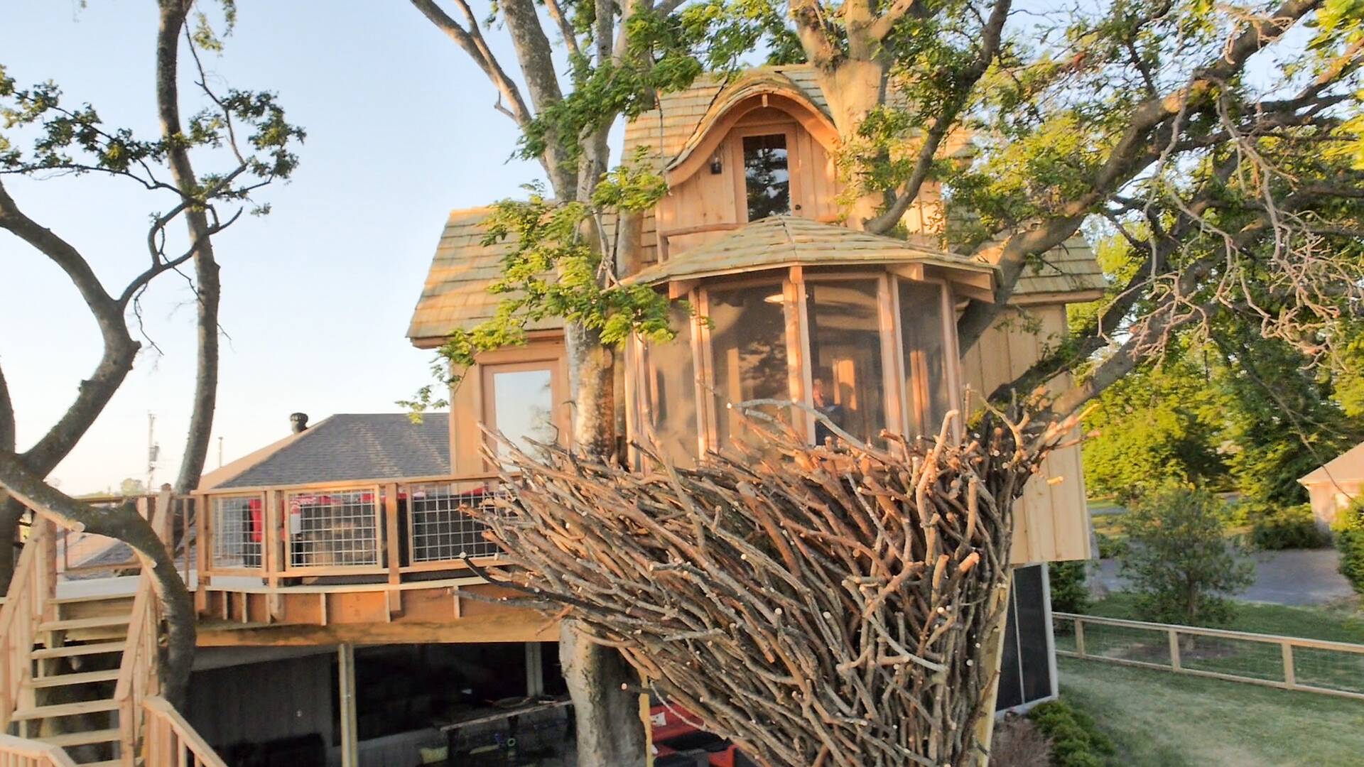 Mi casa en un árbol (T2): Bungaló del oso pardo