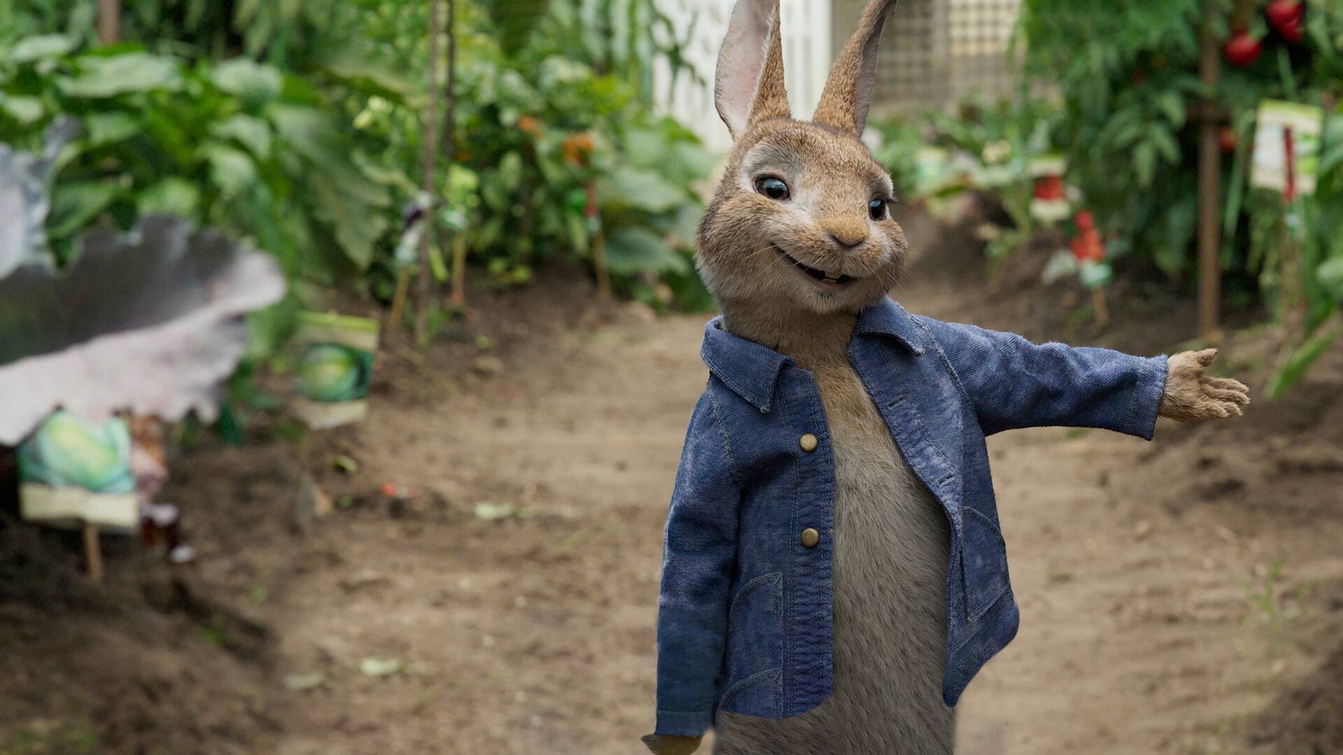Peter Rabbit