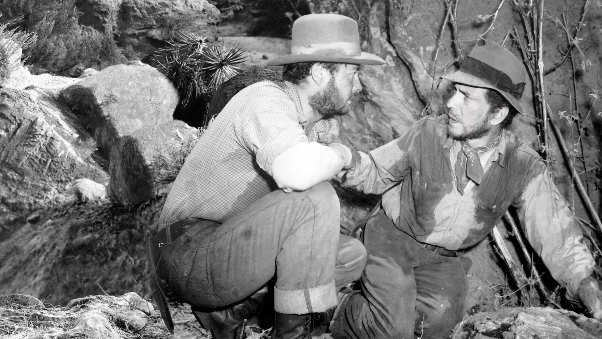 El tesoro de Sierra Madre