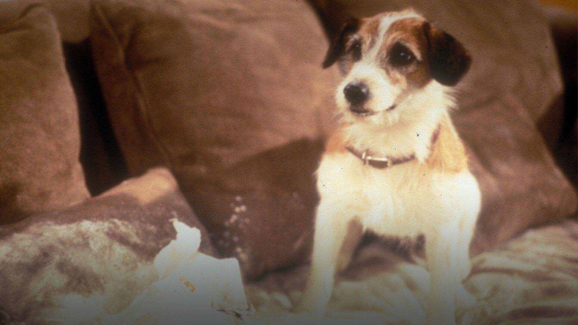 Frasier (T2): Ep.1 Tango lento en el sur de Seattle