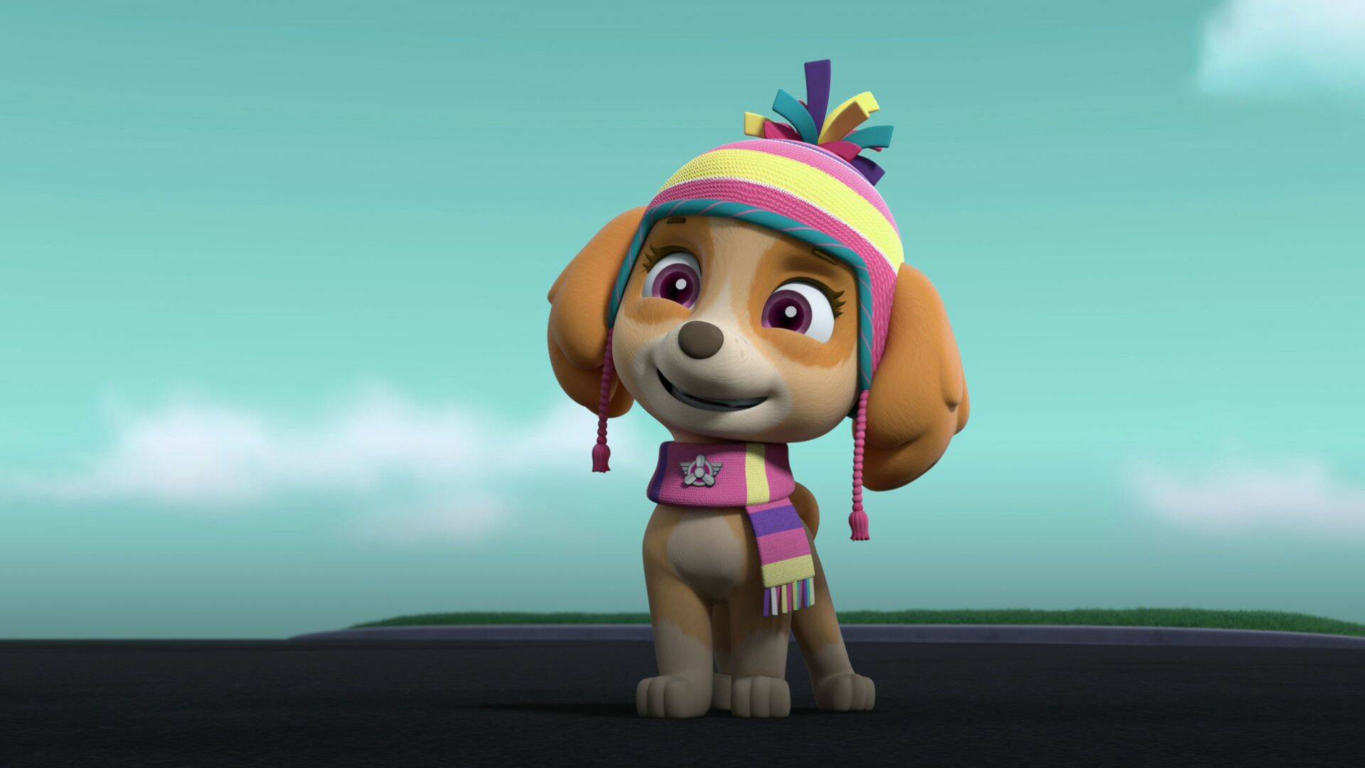 La patrulla canina (T8)