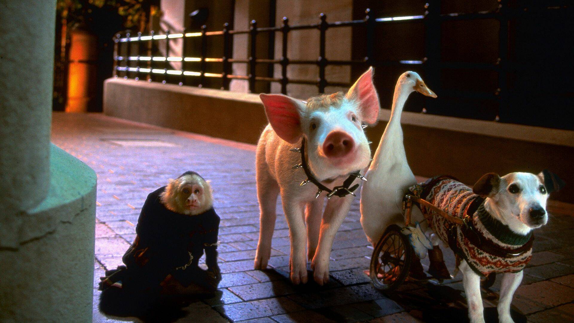 Babe: El cerdito en la ciudad