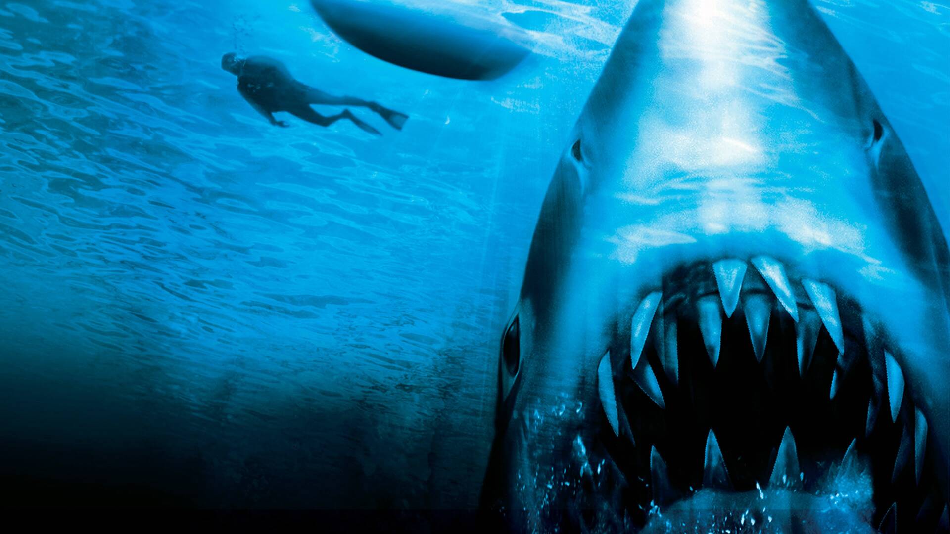 Tiburón, la venganza