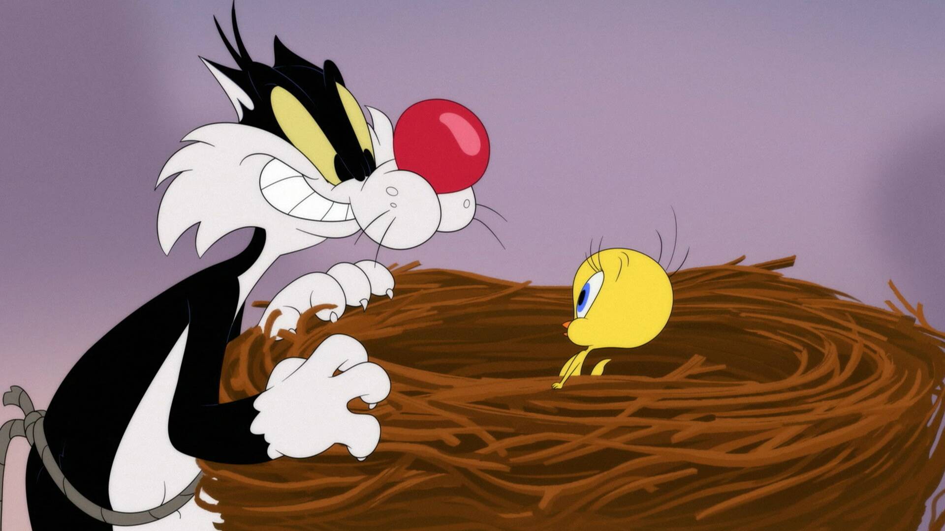 Looney Tunes Cartoons (T2)