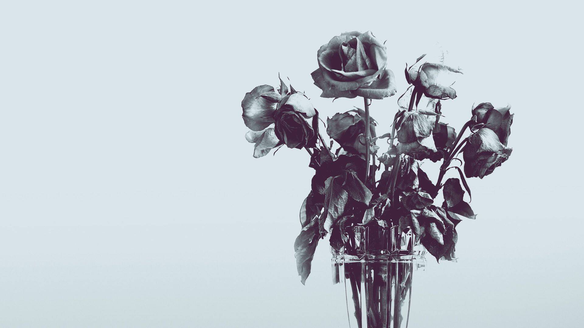 ¿Amor verdadero? 