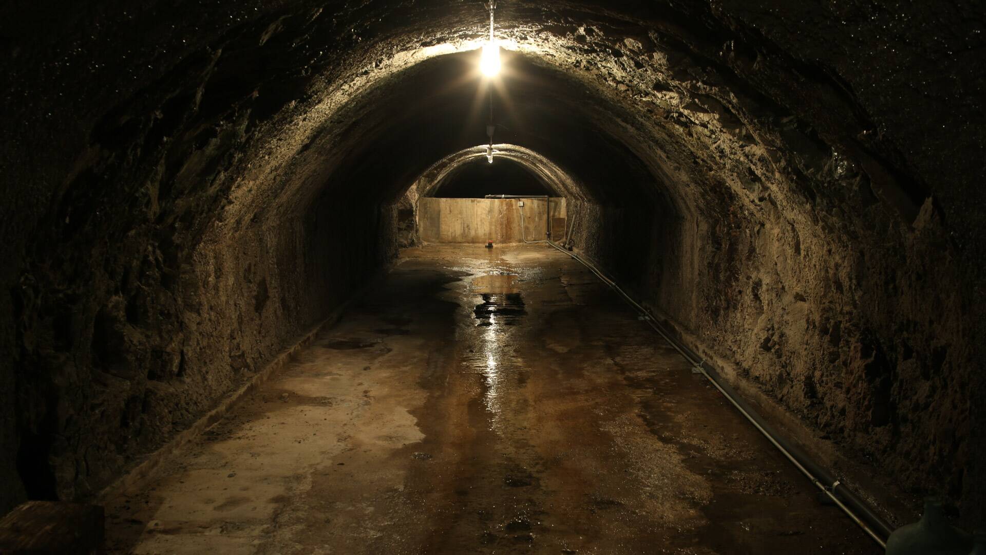 Buscadores de fantasmas (T22)