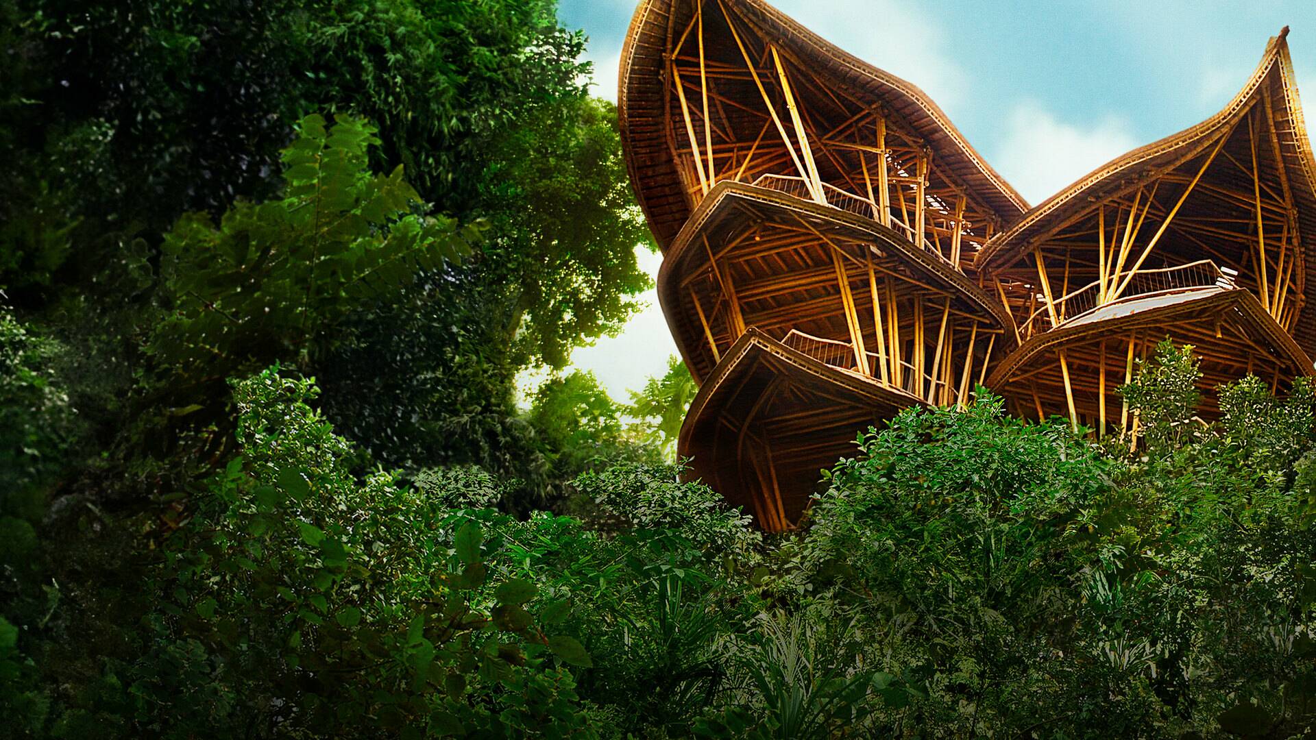 Casas vanguardistas: Austin: Edgeland House