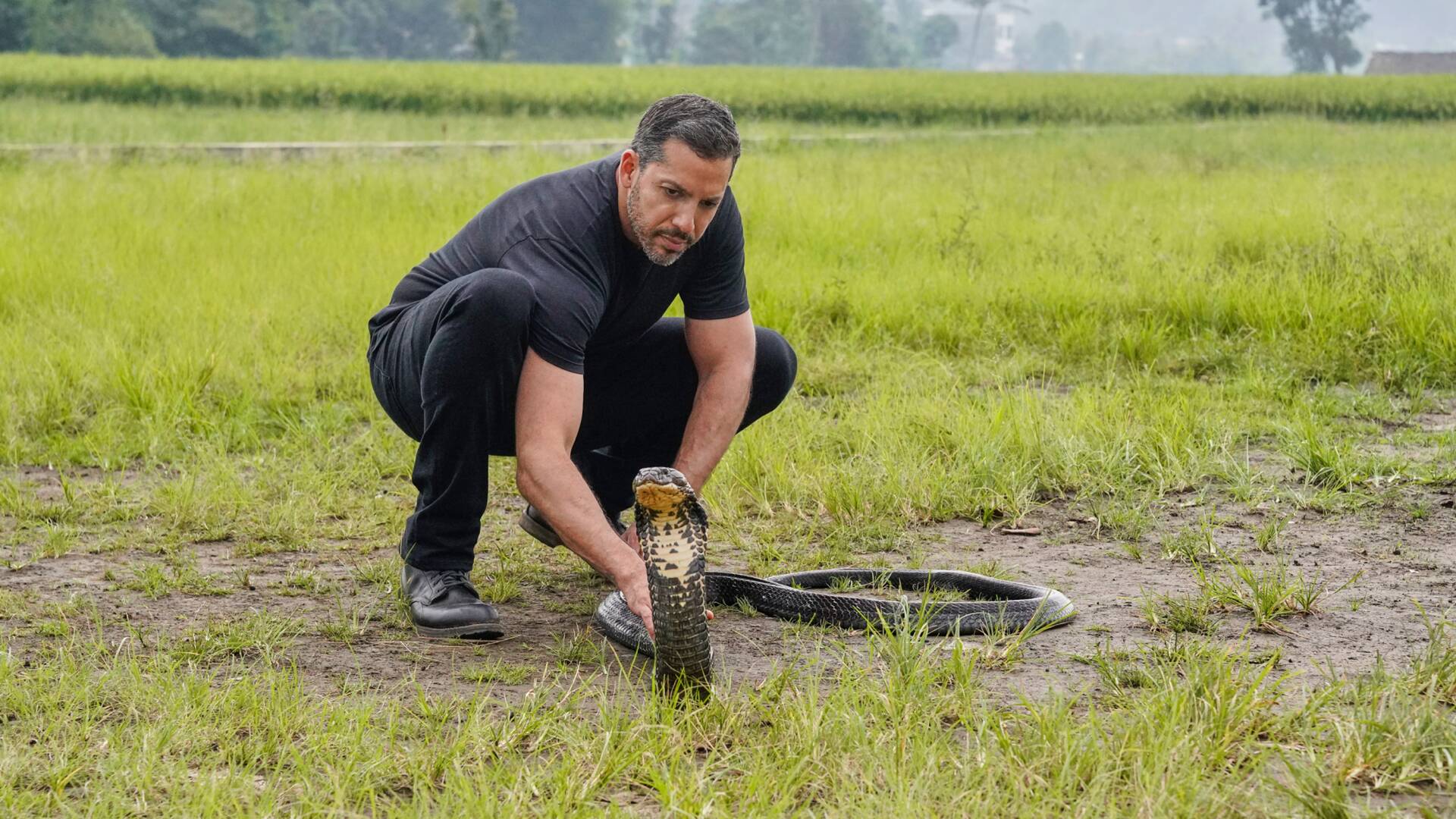 David Blaine: Retos Extremos
