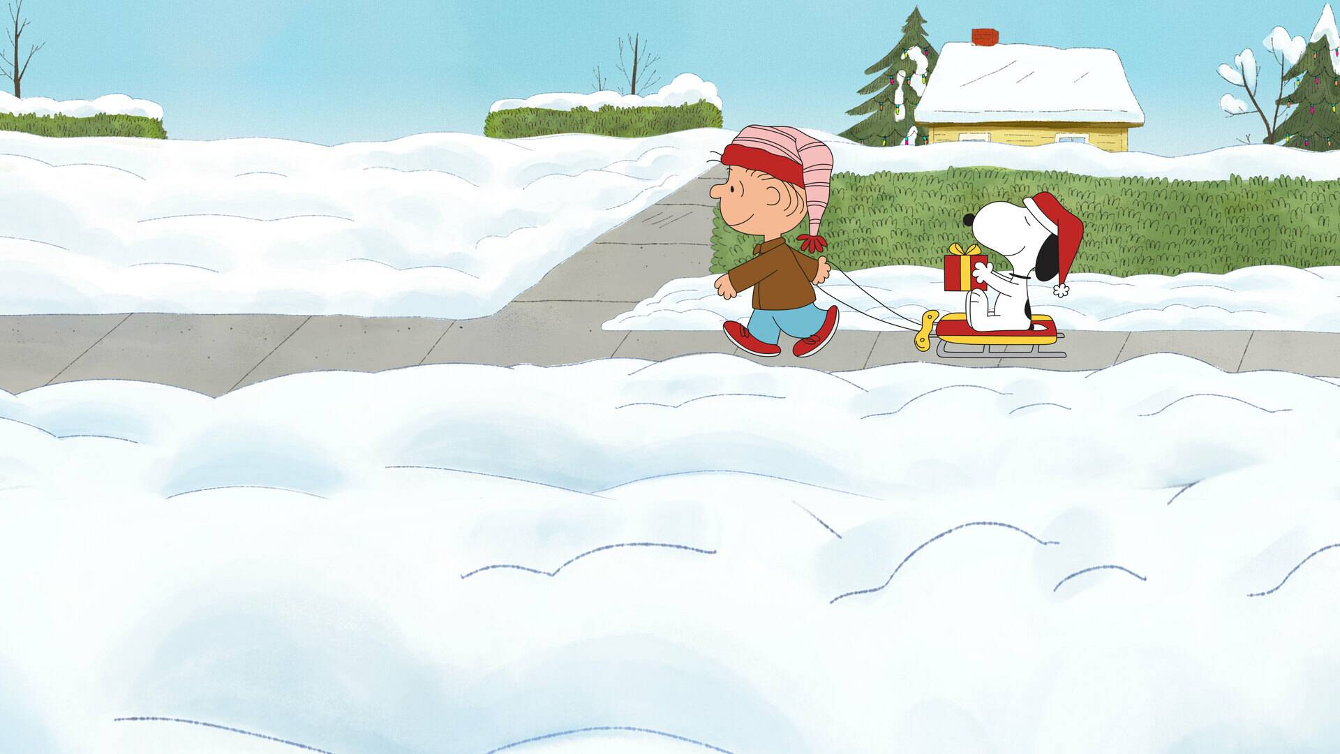Quiero un perro por Navidad, Carlitos