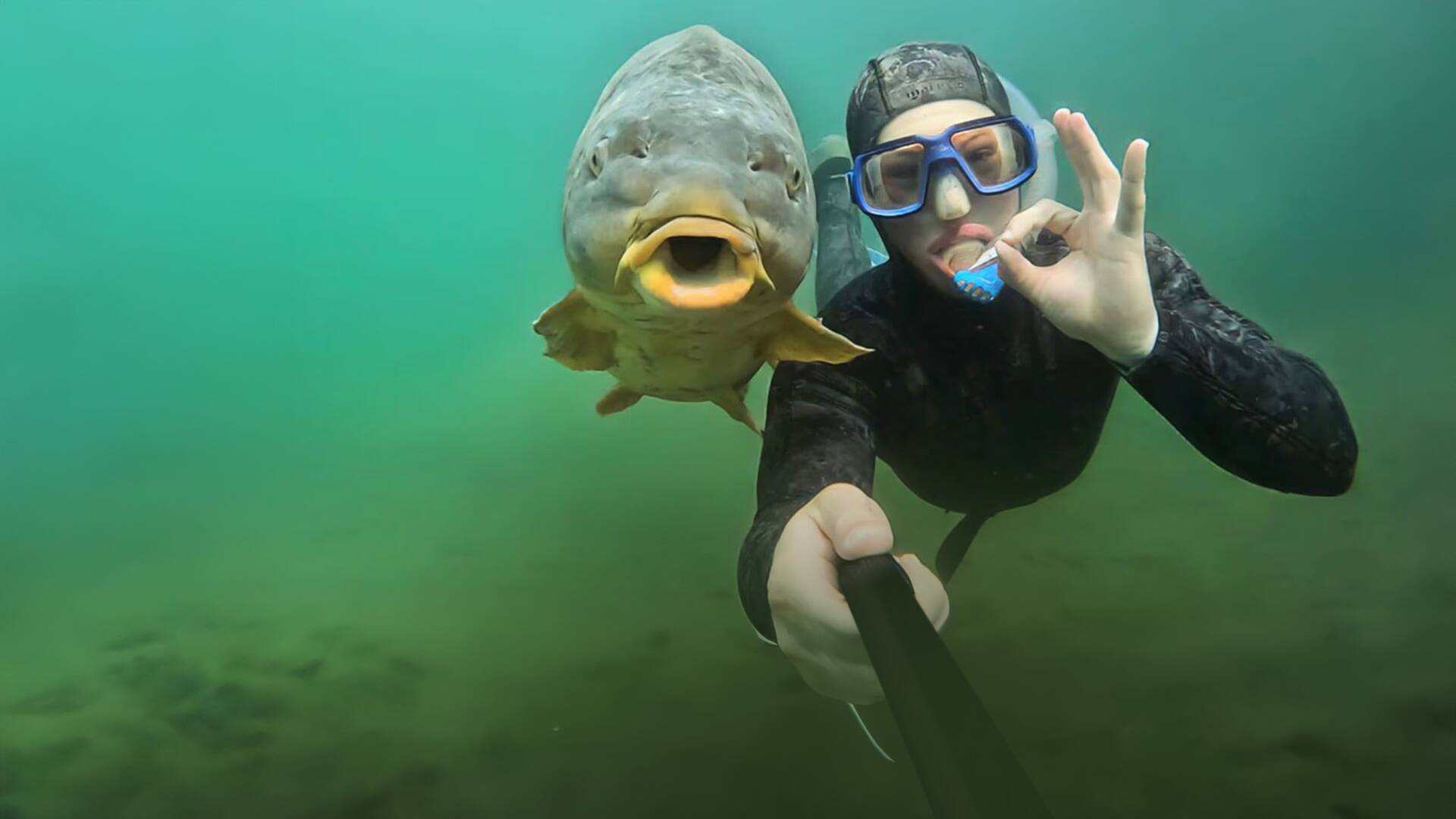 La aventura de la pesca (T2)