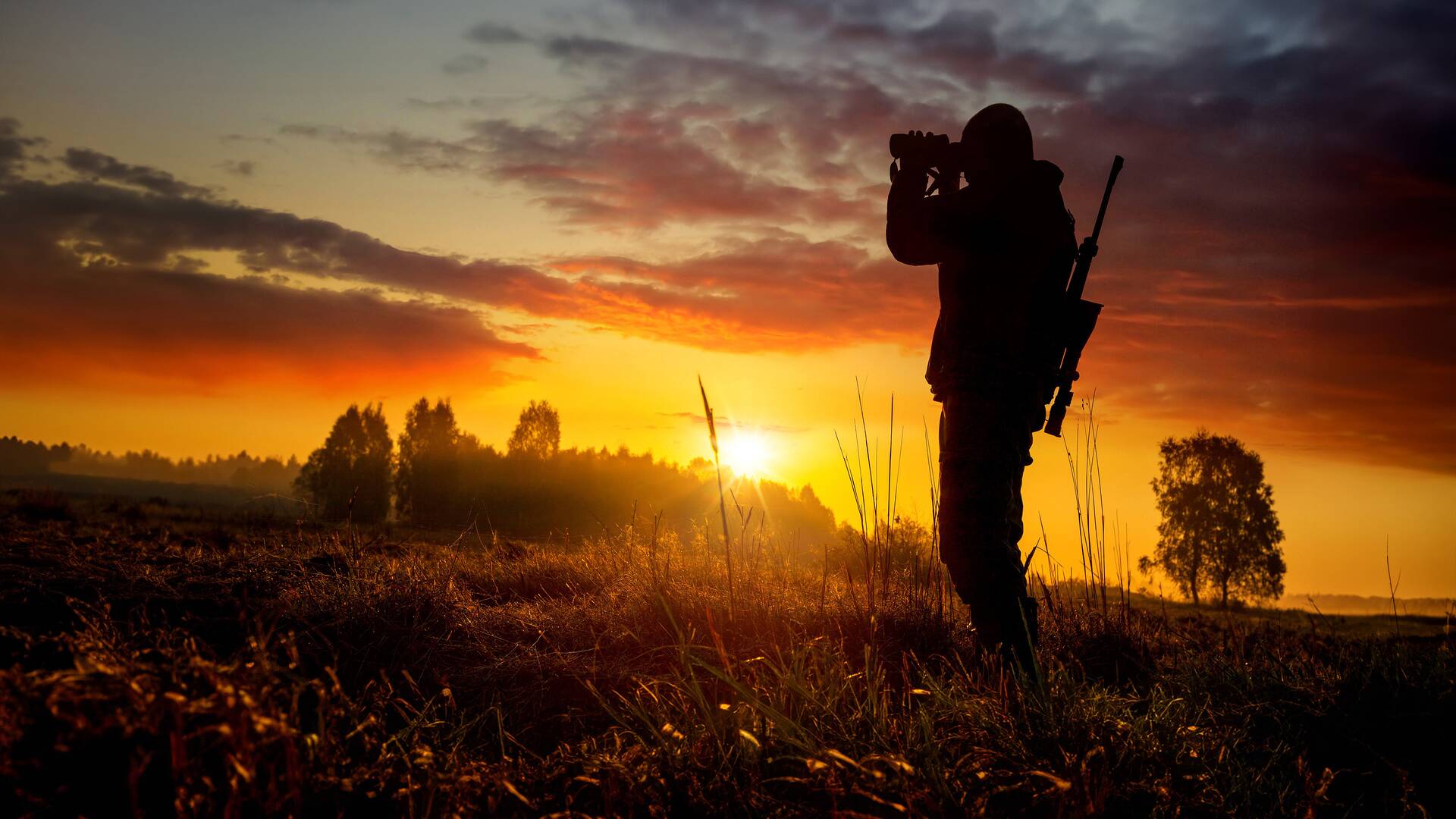 Wild hunting