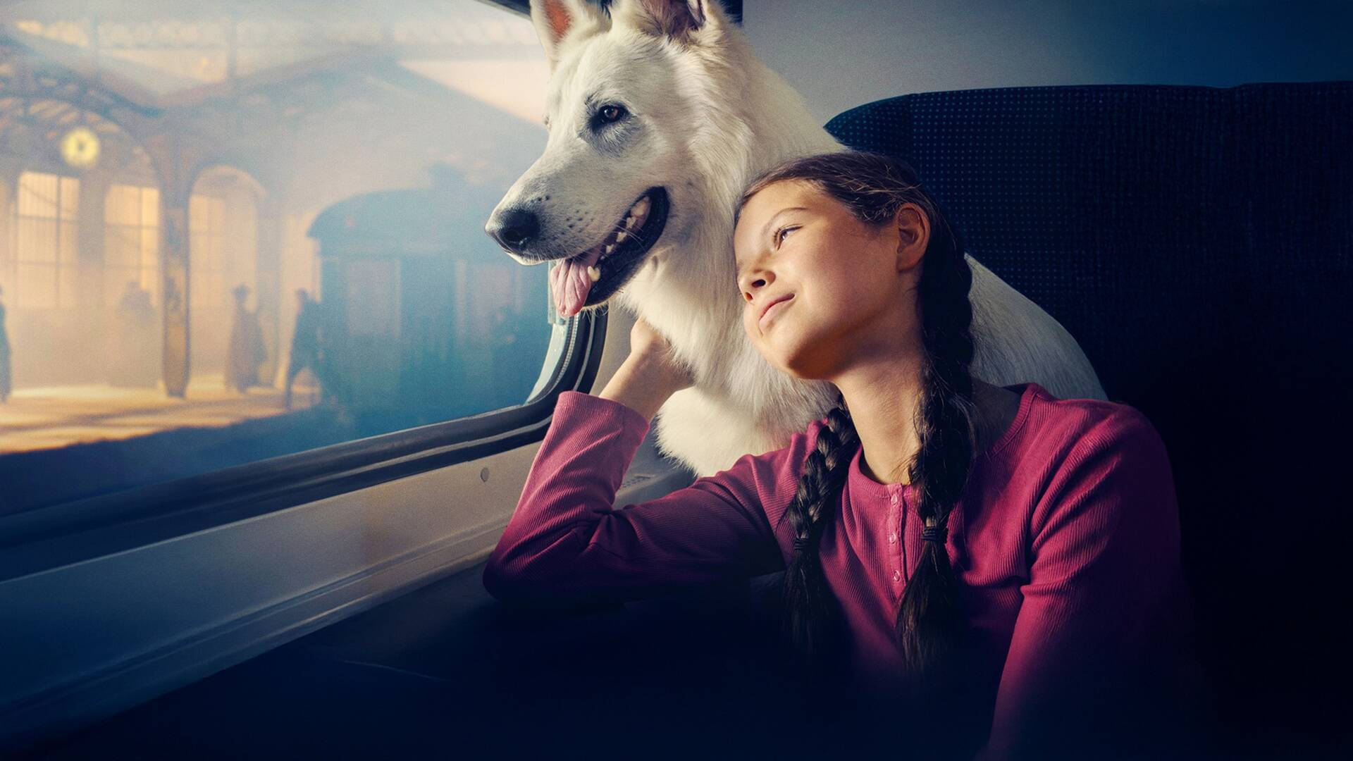Lampo, el perro viajero