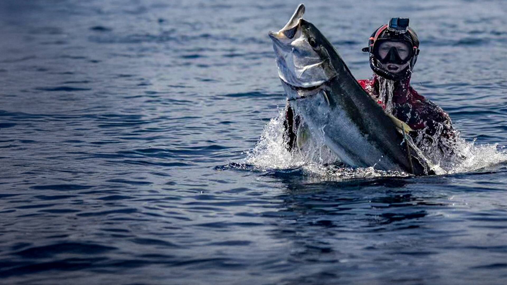 Pesca submarina en los mares del sur