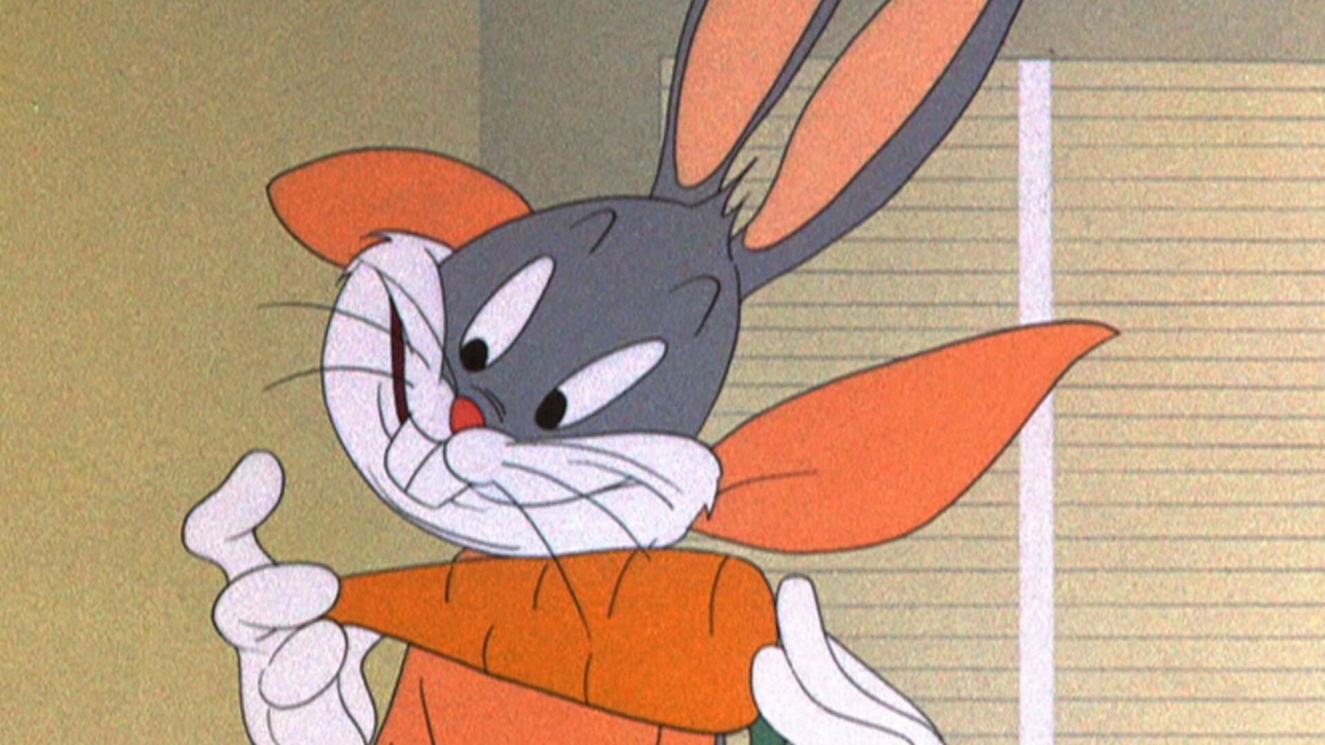 Looney Tunes Cartoons (T1)