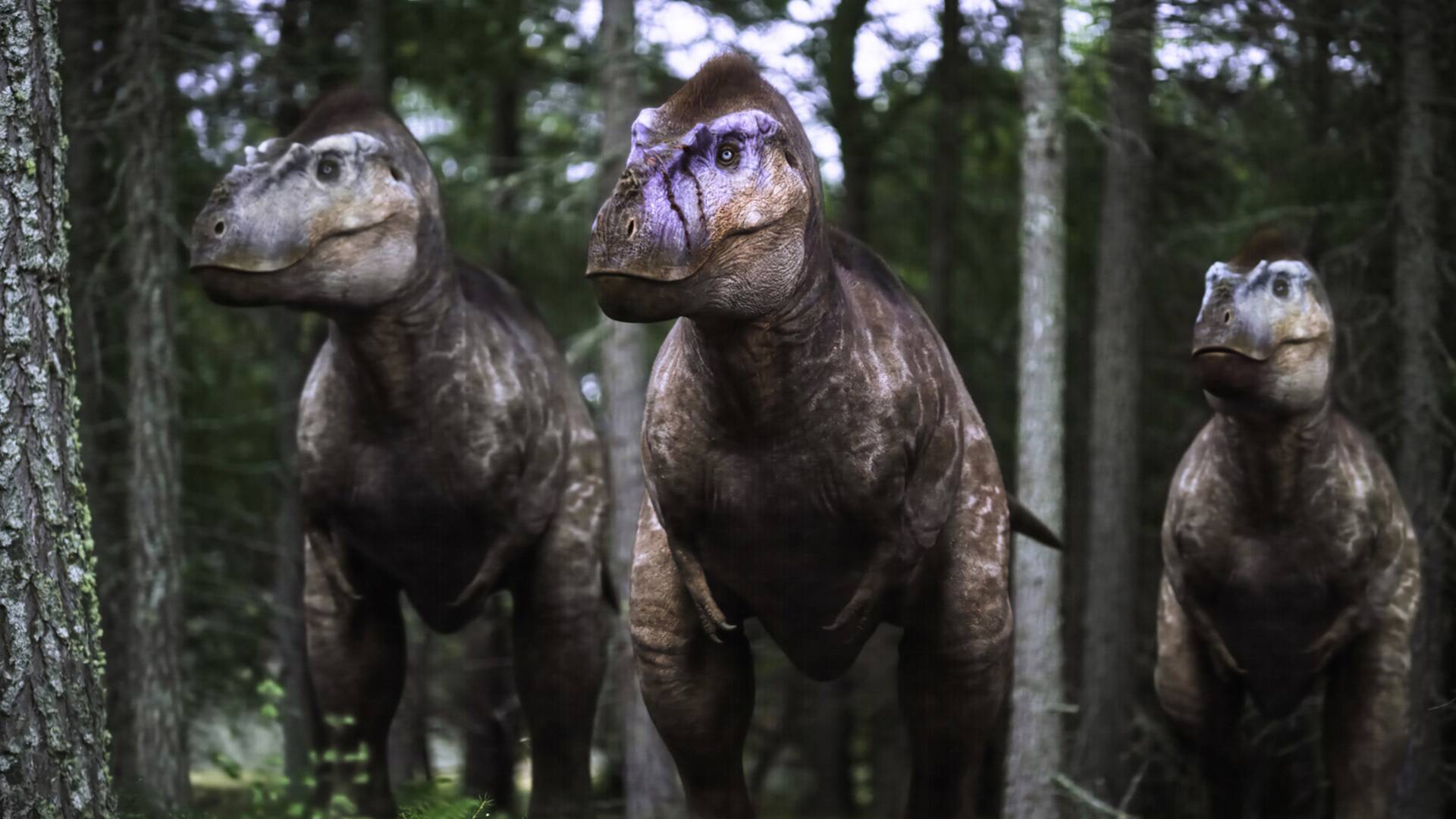 Caminando entre dinosaurios