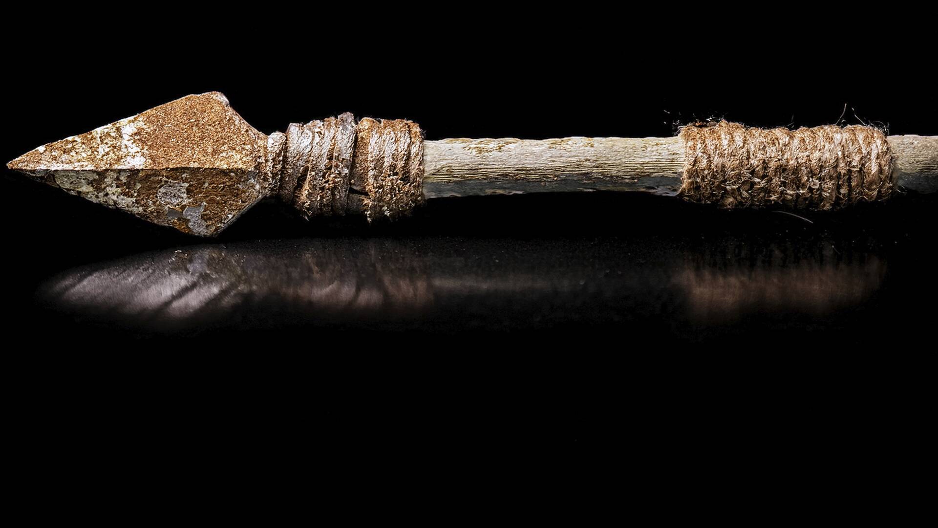 A fondo: el gen de la caza