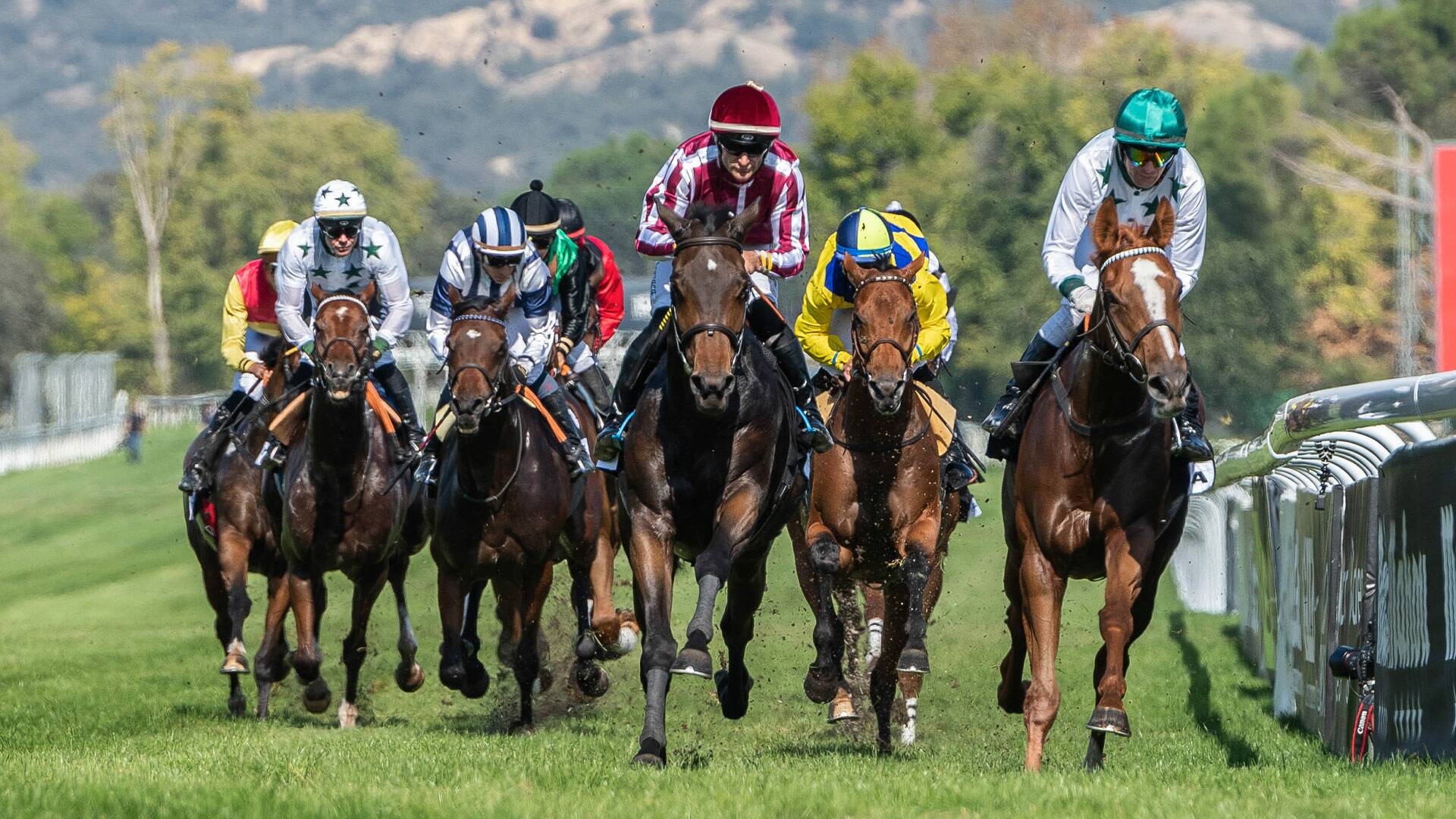 Carreras de... (2025): 01/06/2025 Hipódromo de la Zarzuela