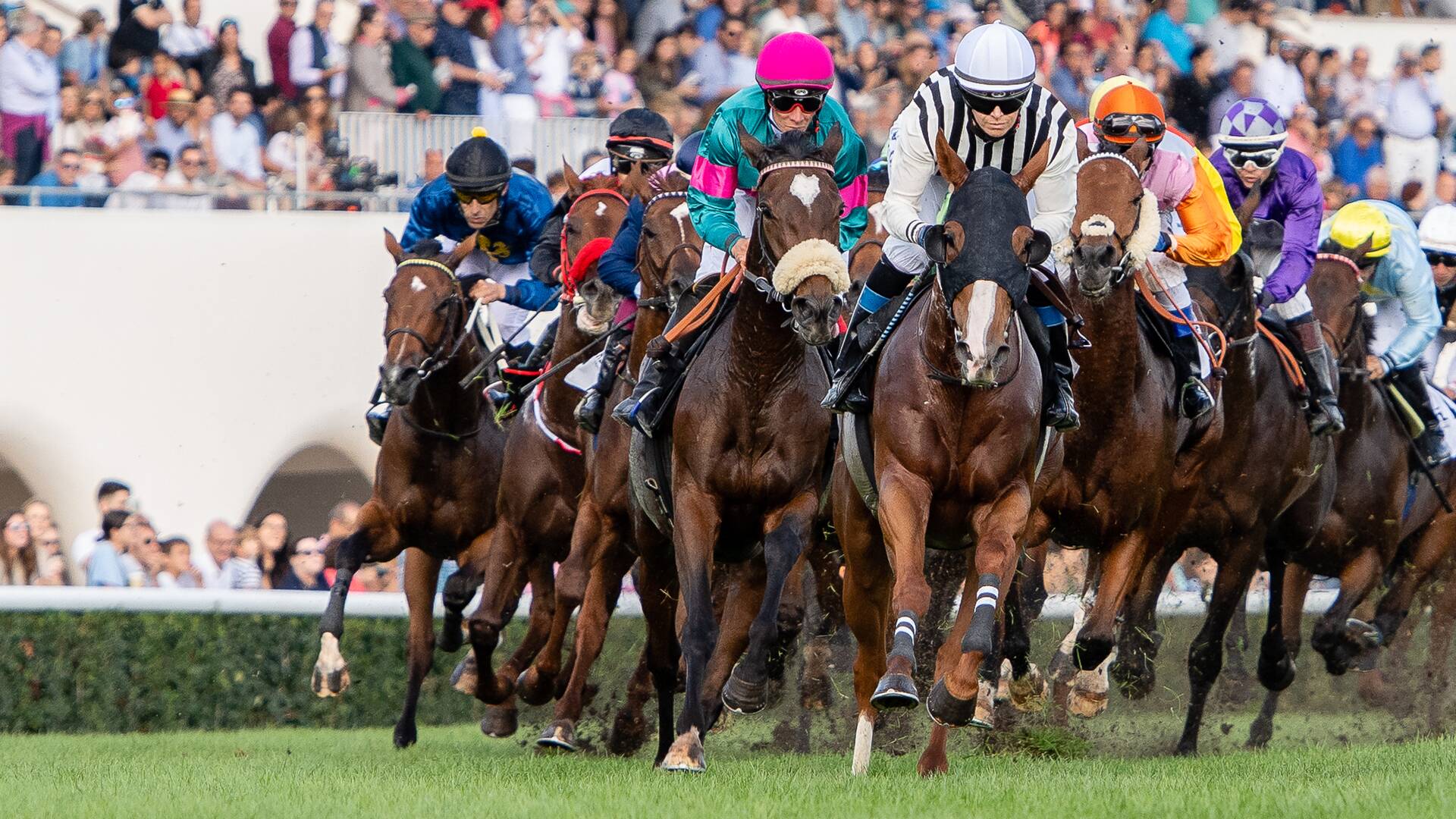 Carreras de... (2025): 11/06/2025 Hipódromo de San Sebastián
