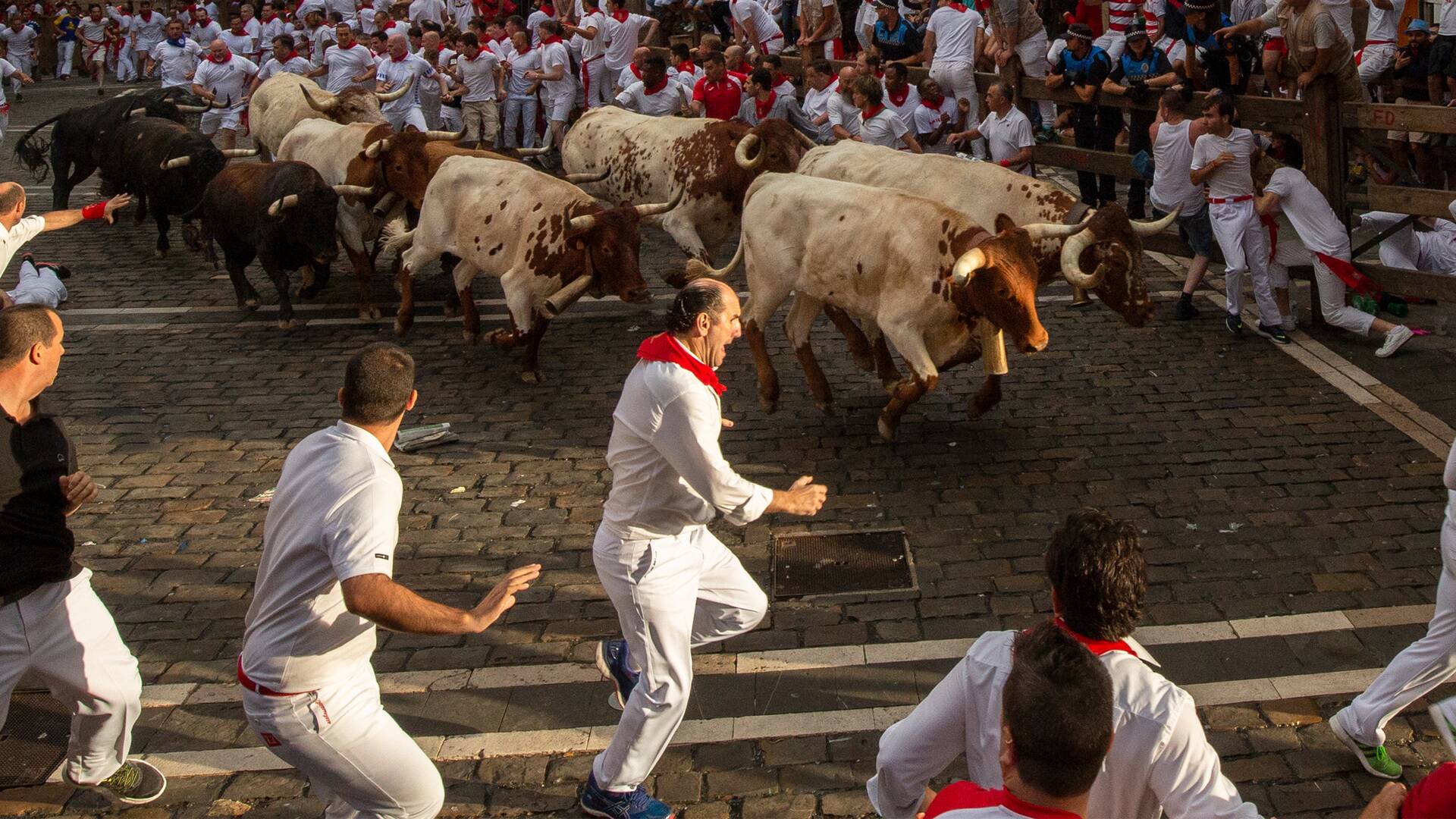 Vive San Fermín (T2025)