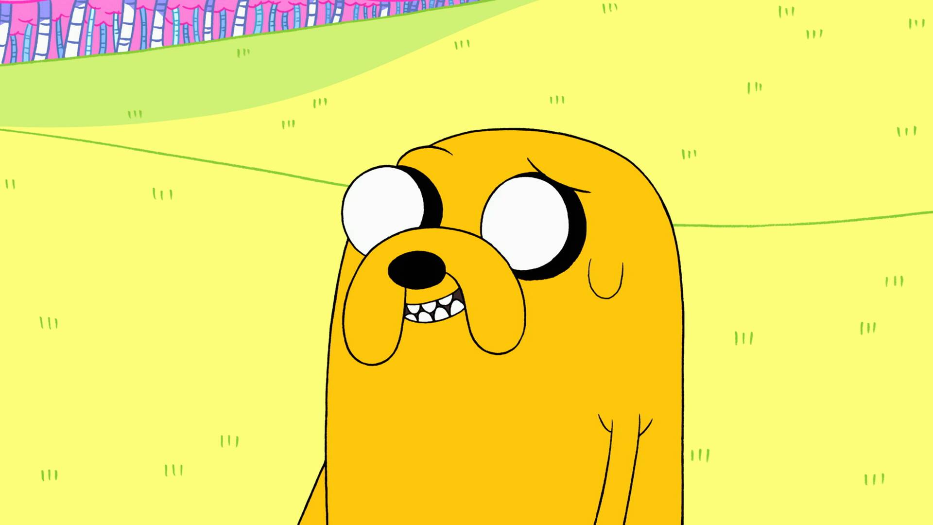 Hora de aventuras (T1): Su héroe/El picatripas