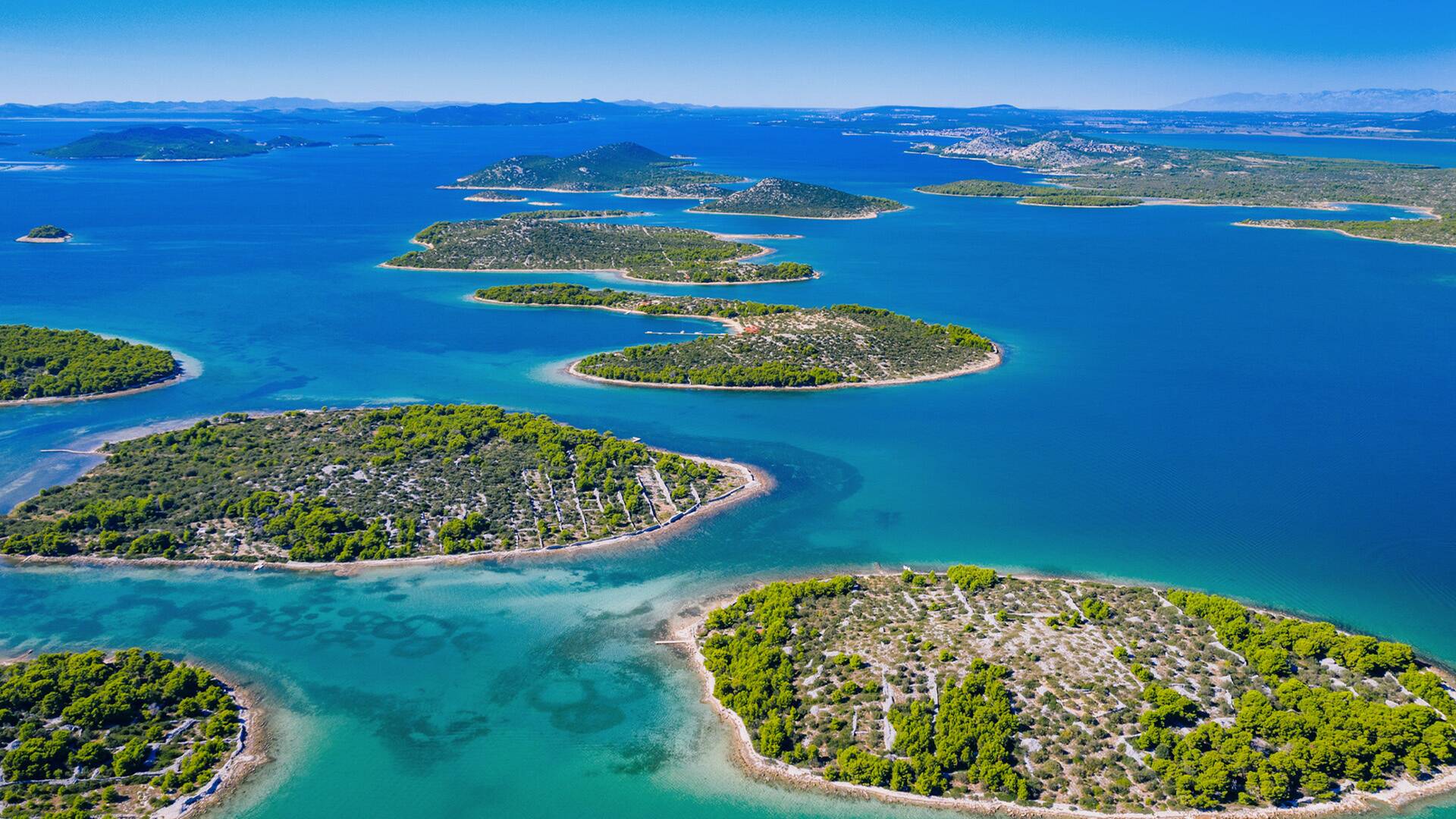 La Costa: Una Odisea Natural