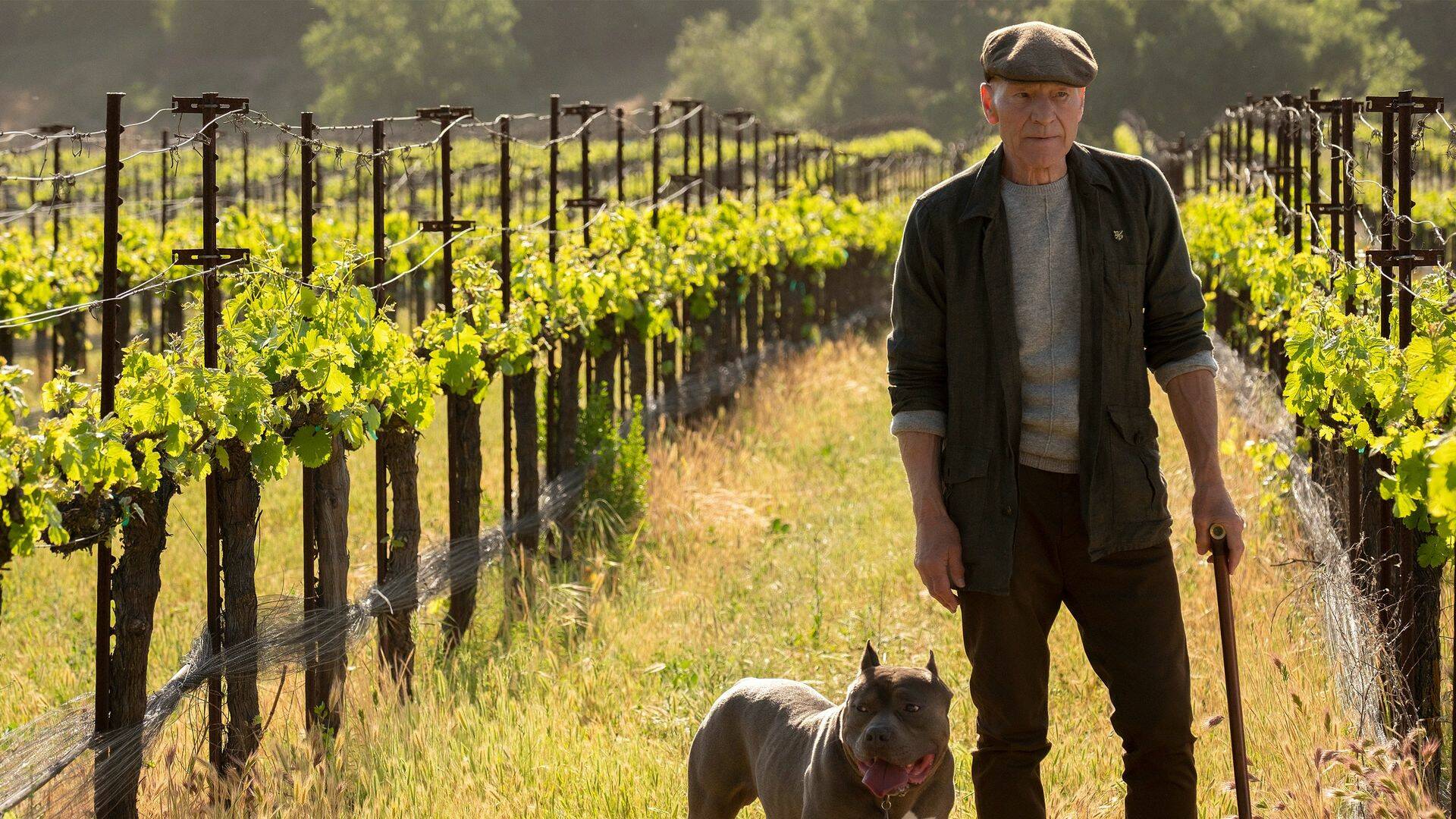Star Trek: Picard (T1): Ep.10 Et in Arcadia Ego, parte 2