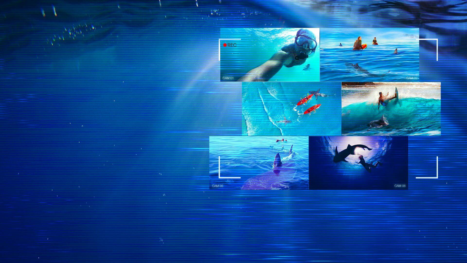 ¡Pillados! Ataque tiburón