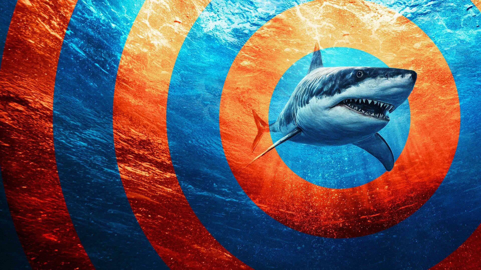 Tiburón: en el ojo de la tormenta