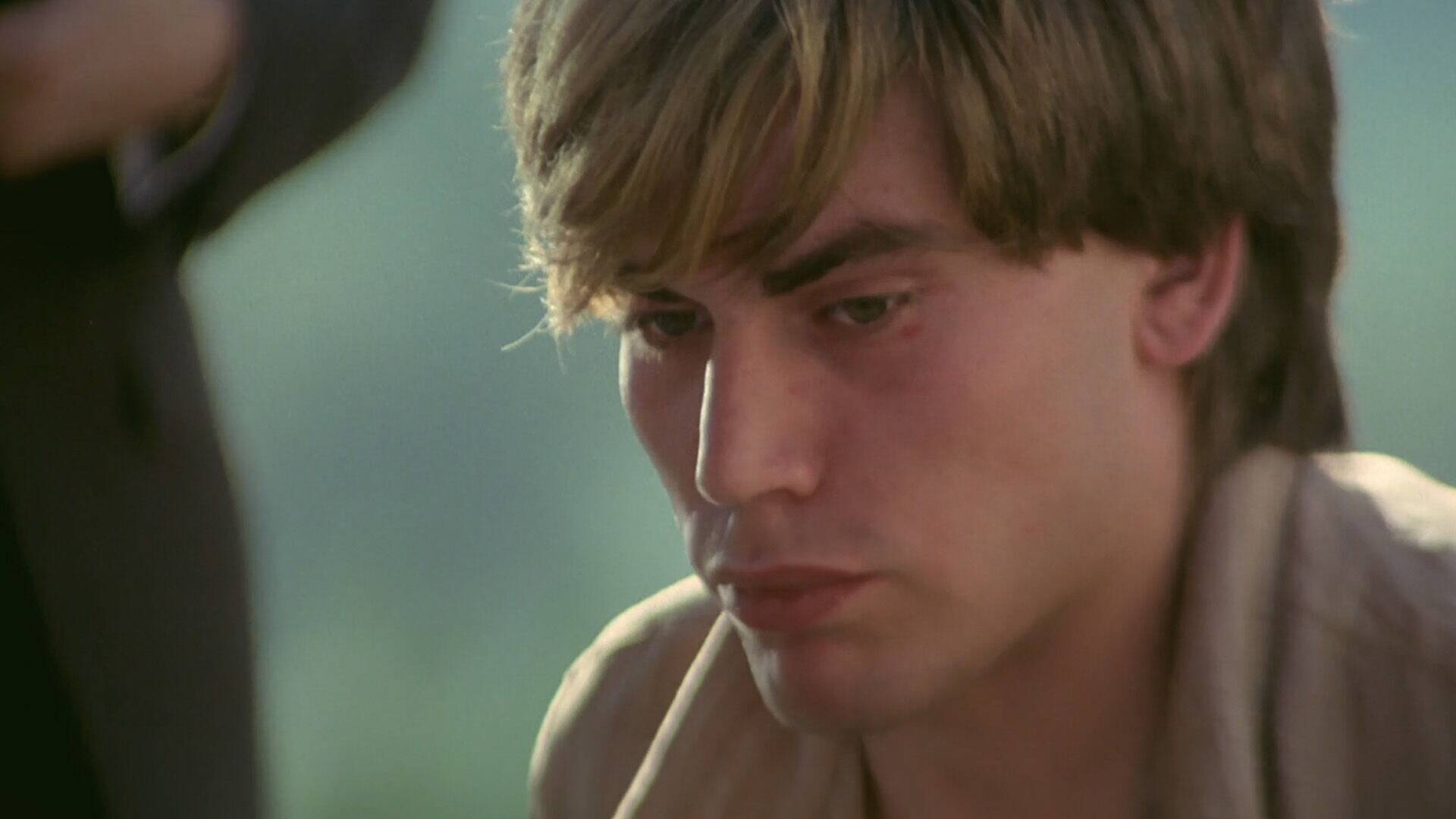 Los violadores del amanecer