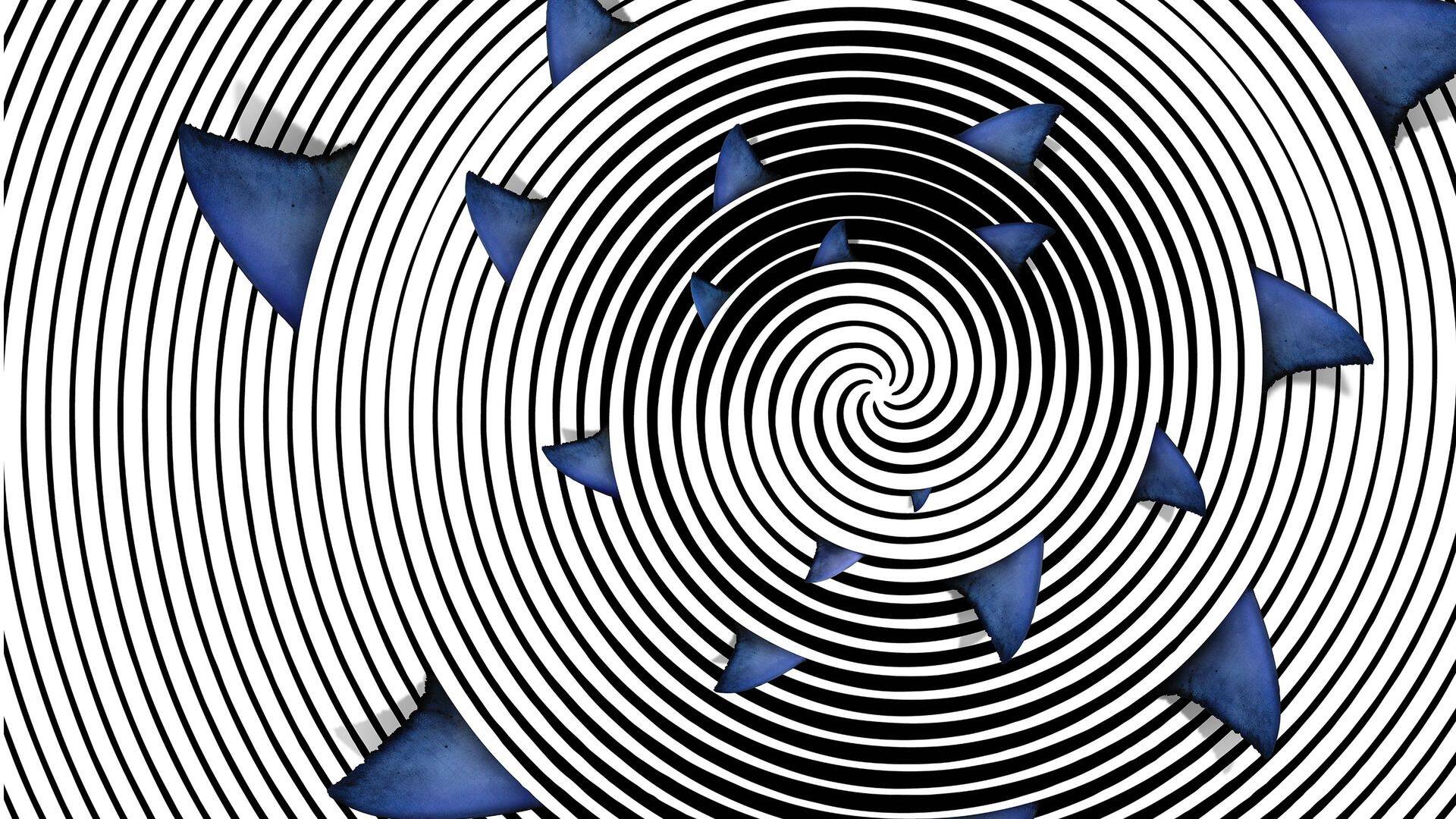 ¡Peligro, tiburón blanco!