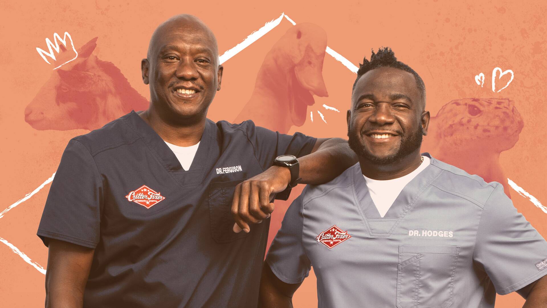 Critter fixers: Veterinarios rurales 