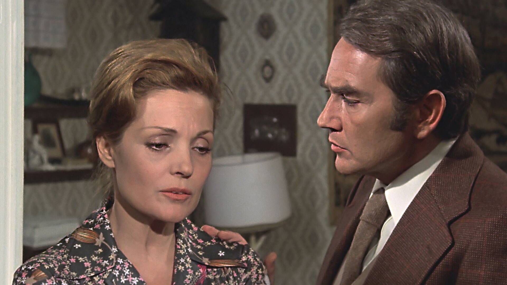 La noche de los cien pájaros