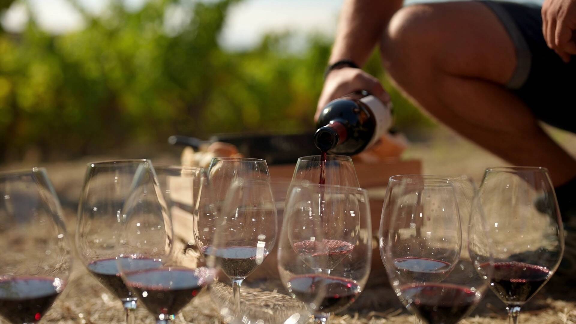 Rioja, la tierra de los mil vinos