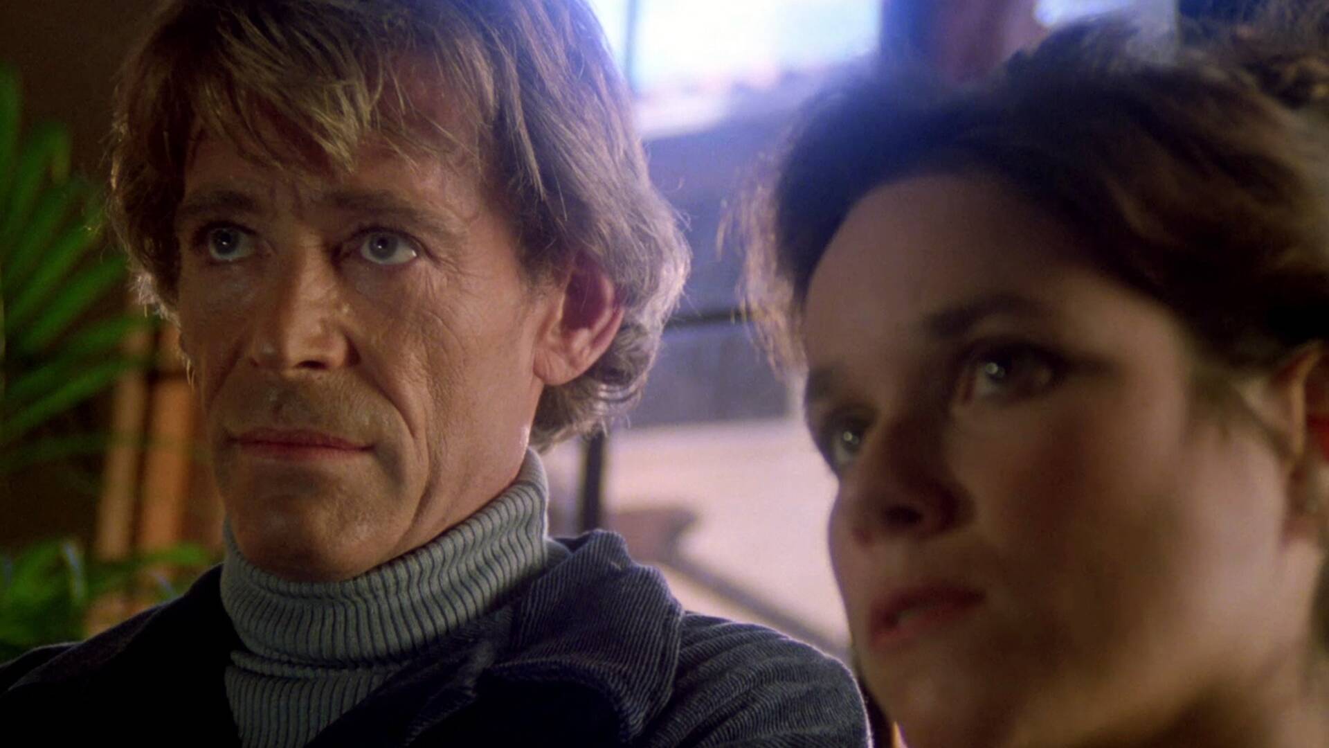 Profesión: El especialista