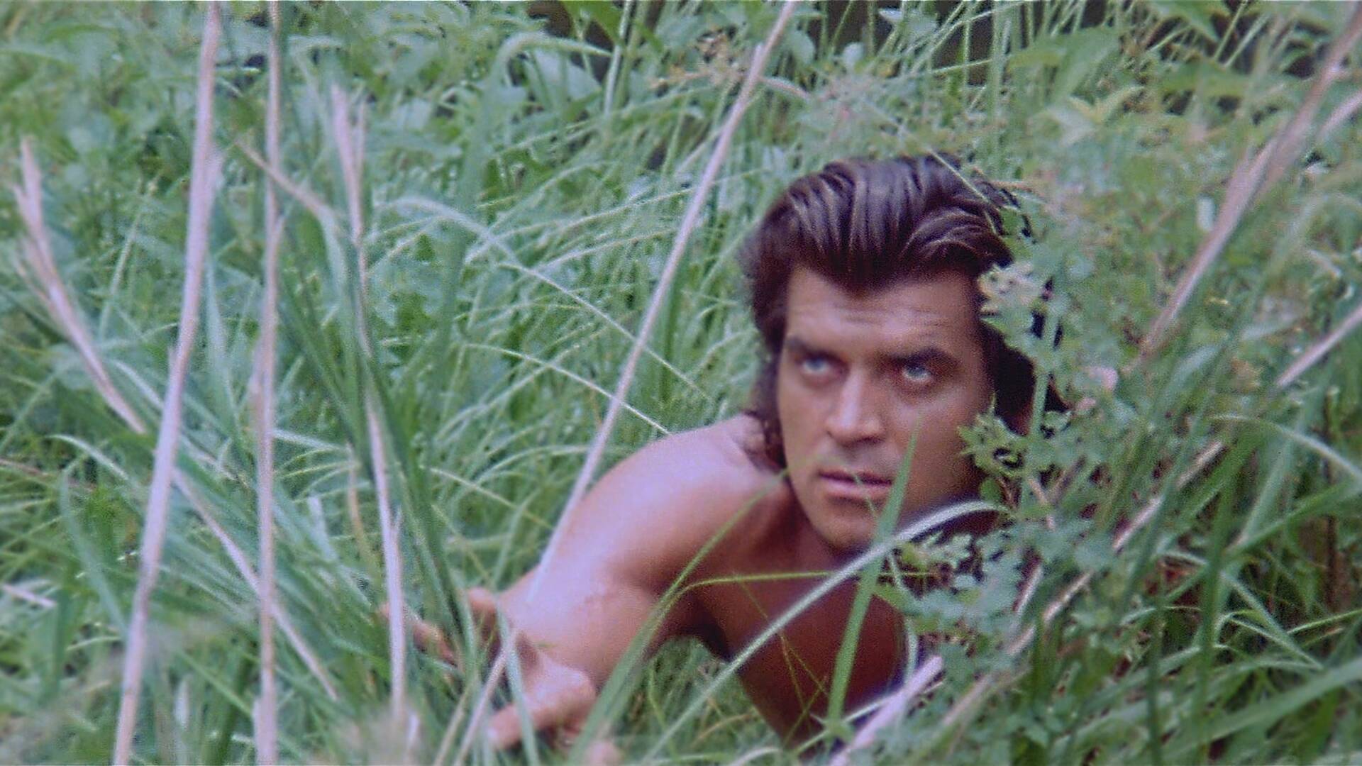 Tarzán y el arco iris