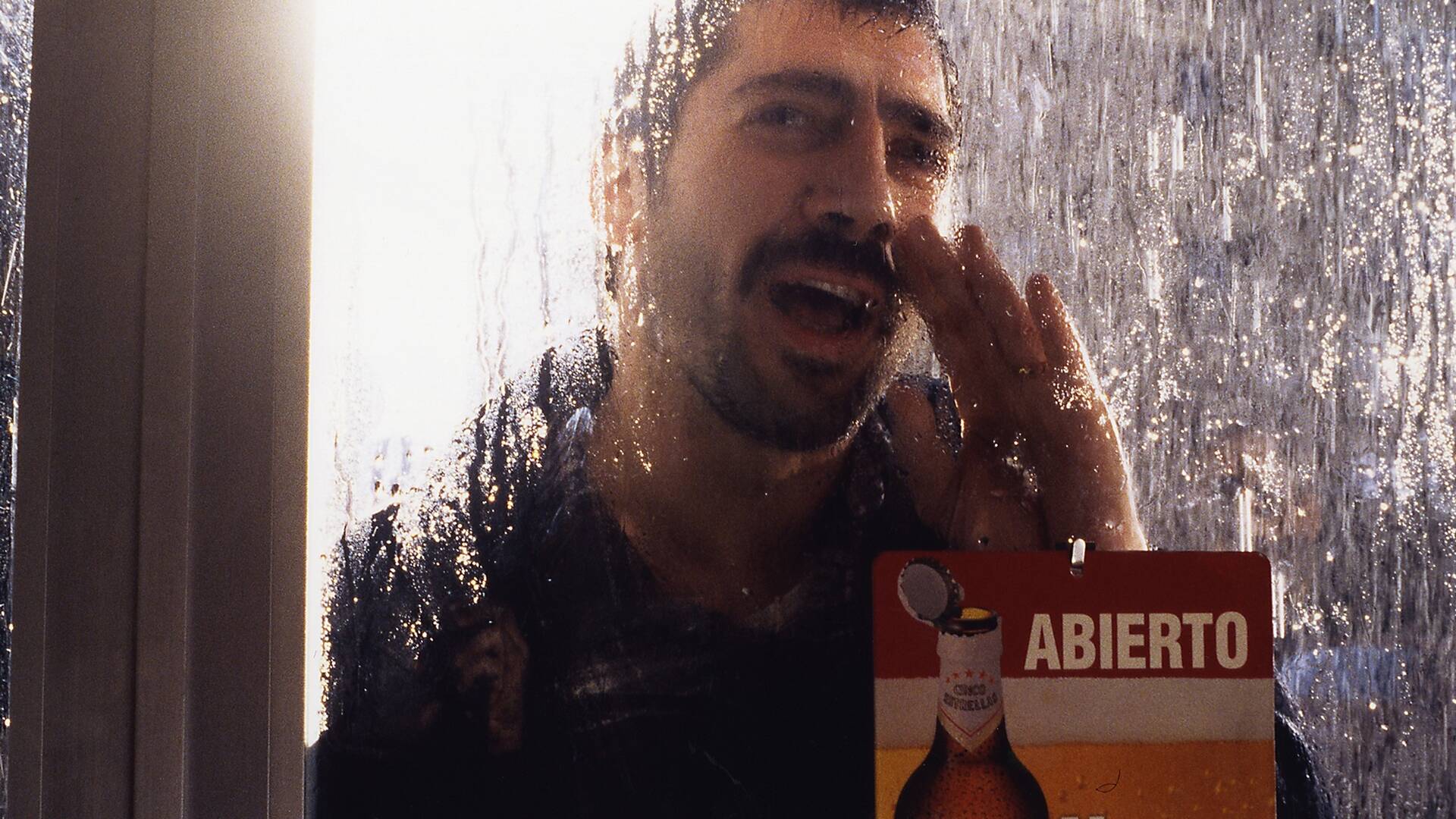 Los lobos de Washington