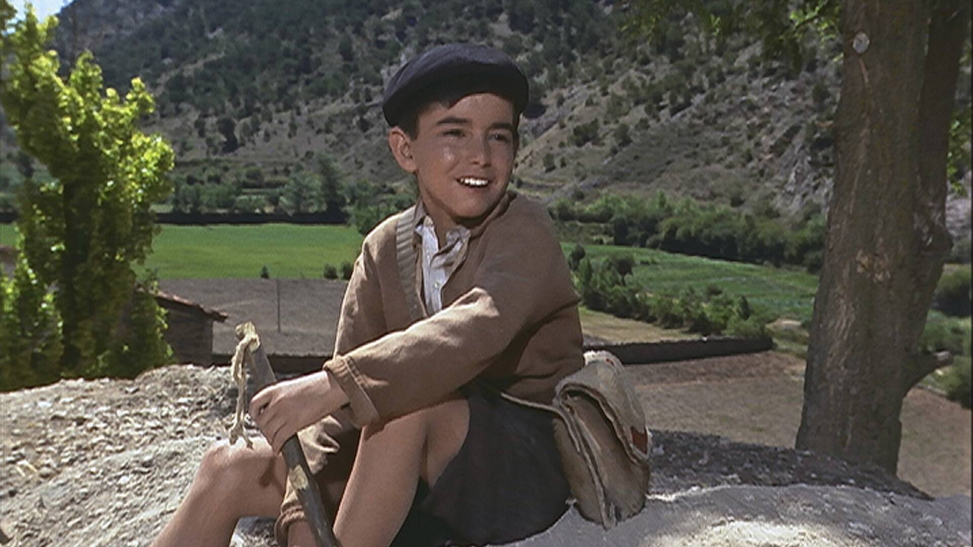 El ruiseñor de las cumbres