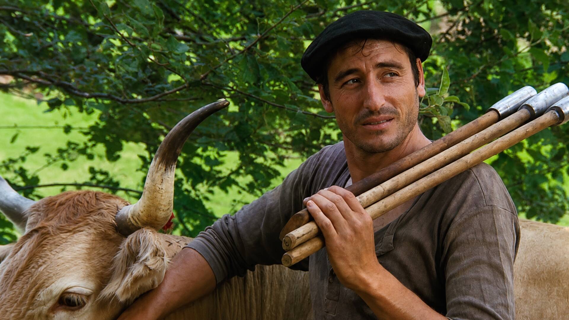 Vacas