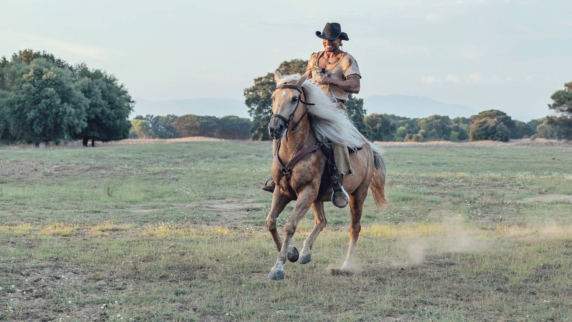 Django imbatible