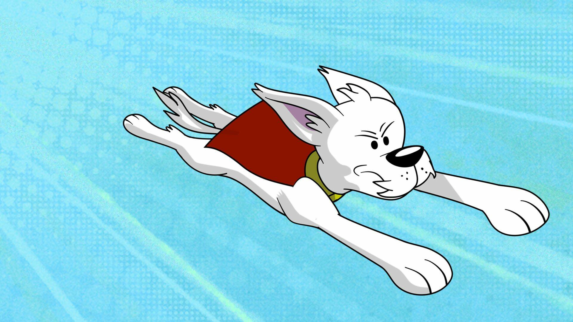 Krypto resuelve la situación