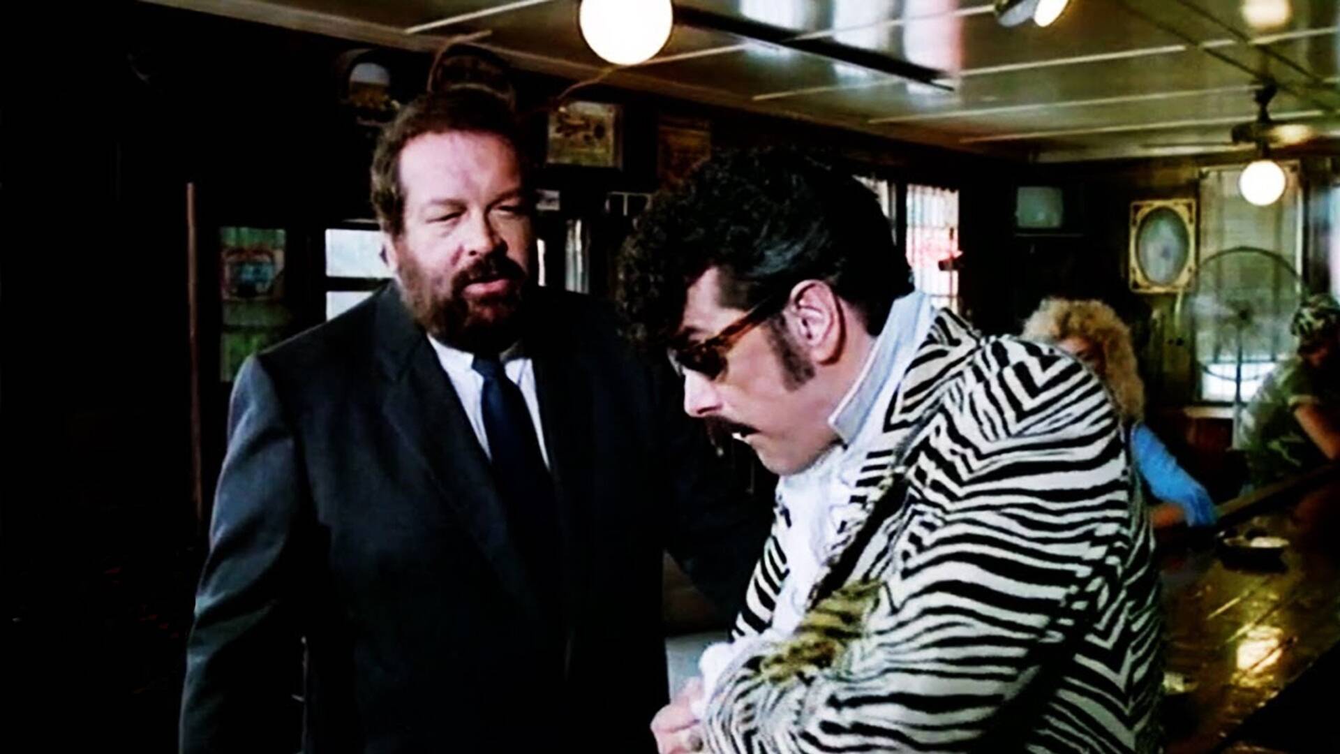 Como el perro y el gato