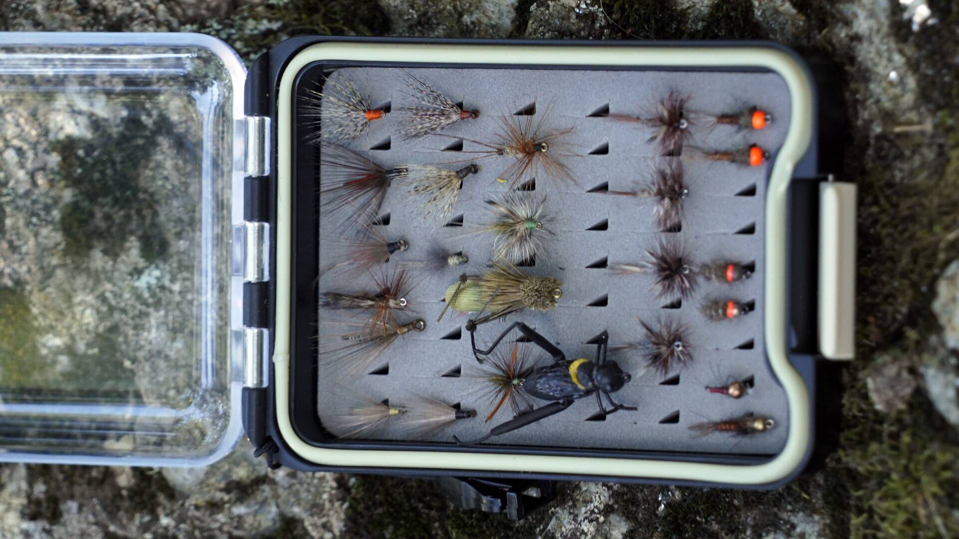 Pesca en peligro de extinción: Varal