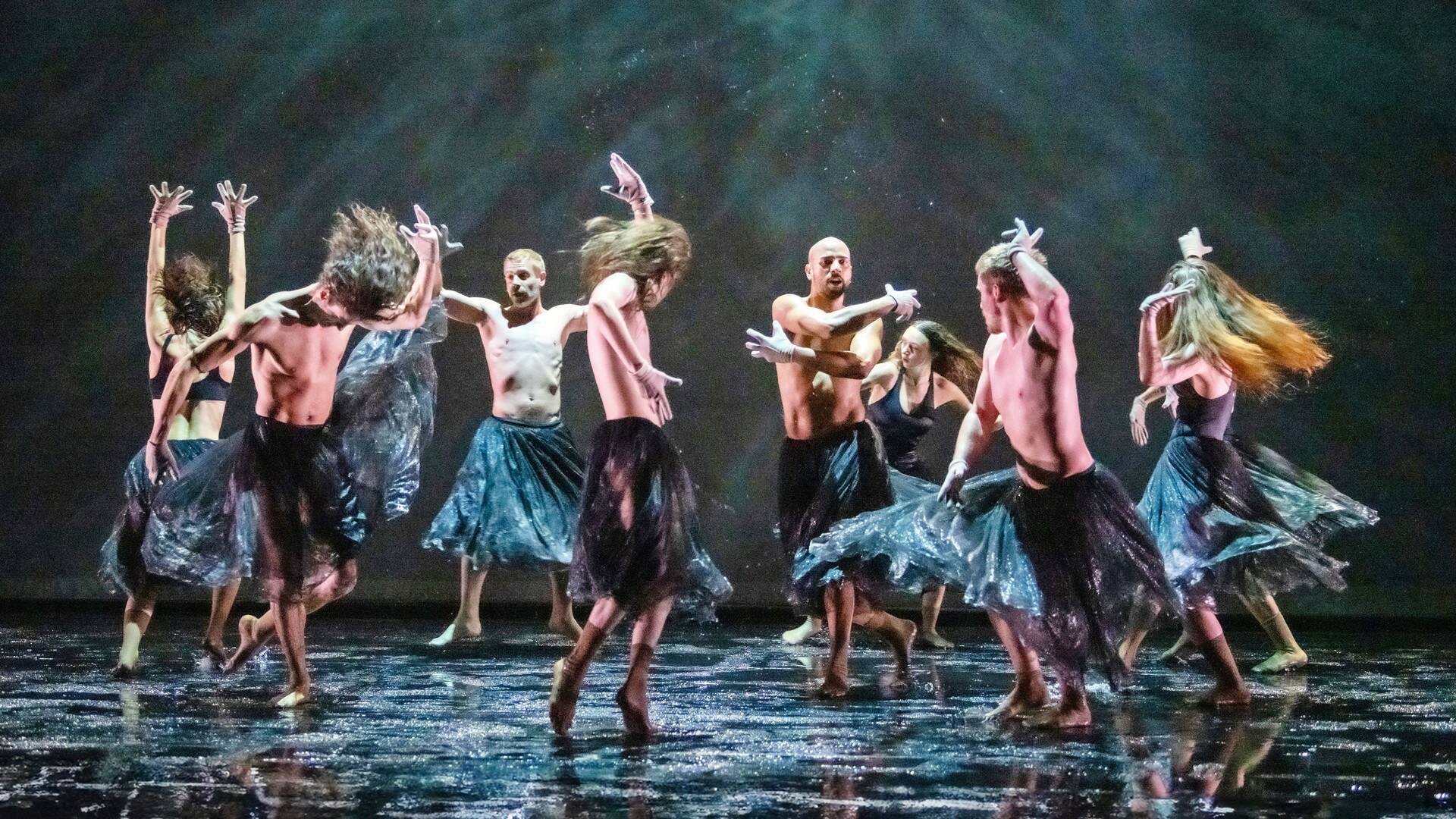 Compañía Blanca Li: Dido y Eneas - Le Temps d'aimer la danse