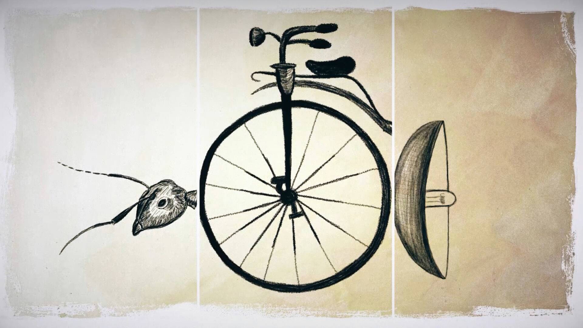 Inventario de vespoideas