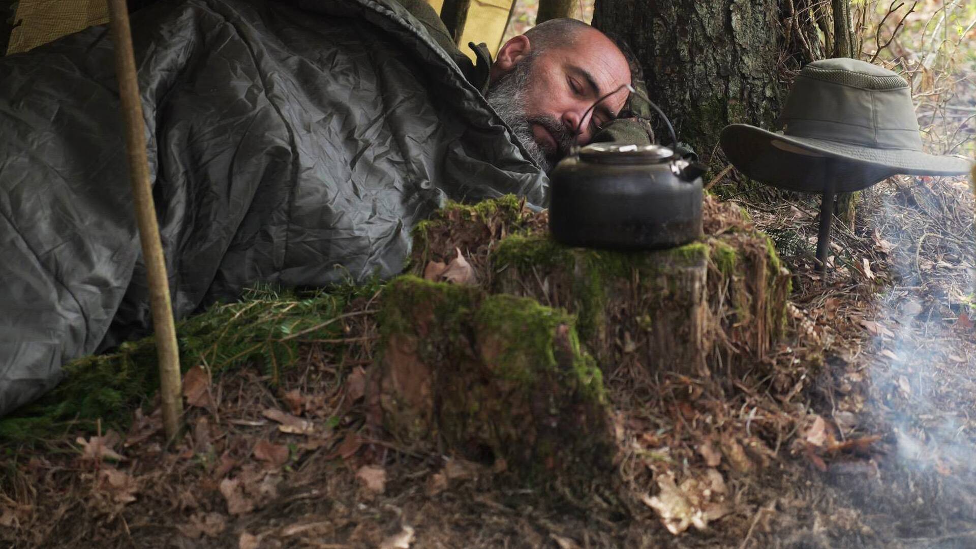 Cara a cara con el bosque primigenio