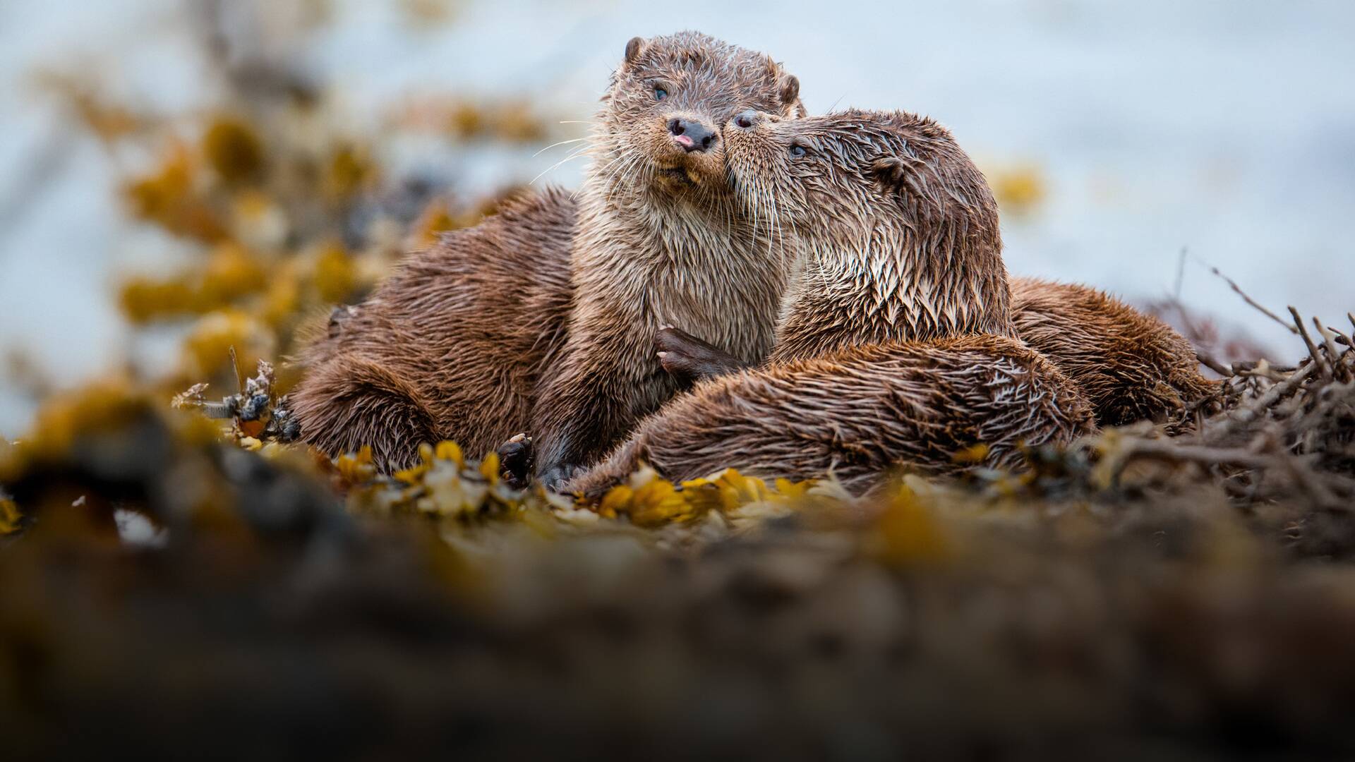 Cómo se hizo Parenthood: Ep.2