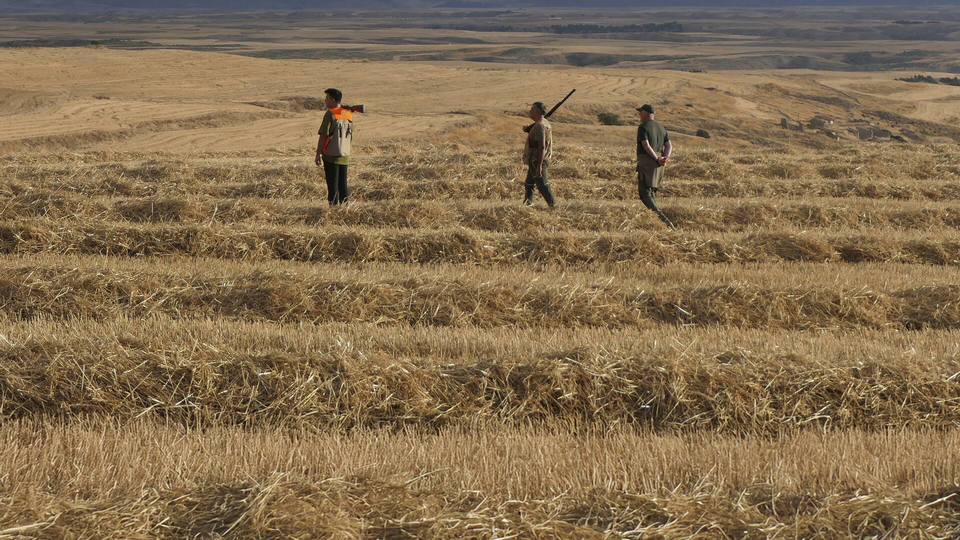 A muestra con el 28 (T1): Becadas asentadas al terreno