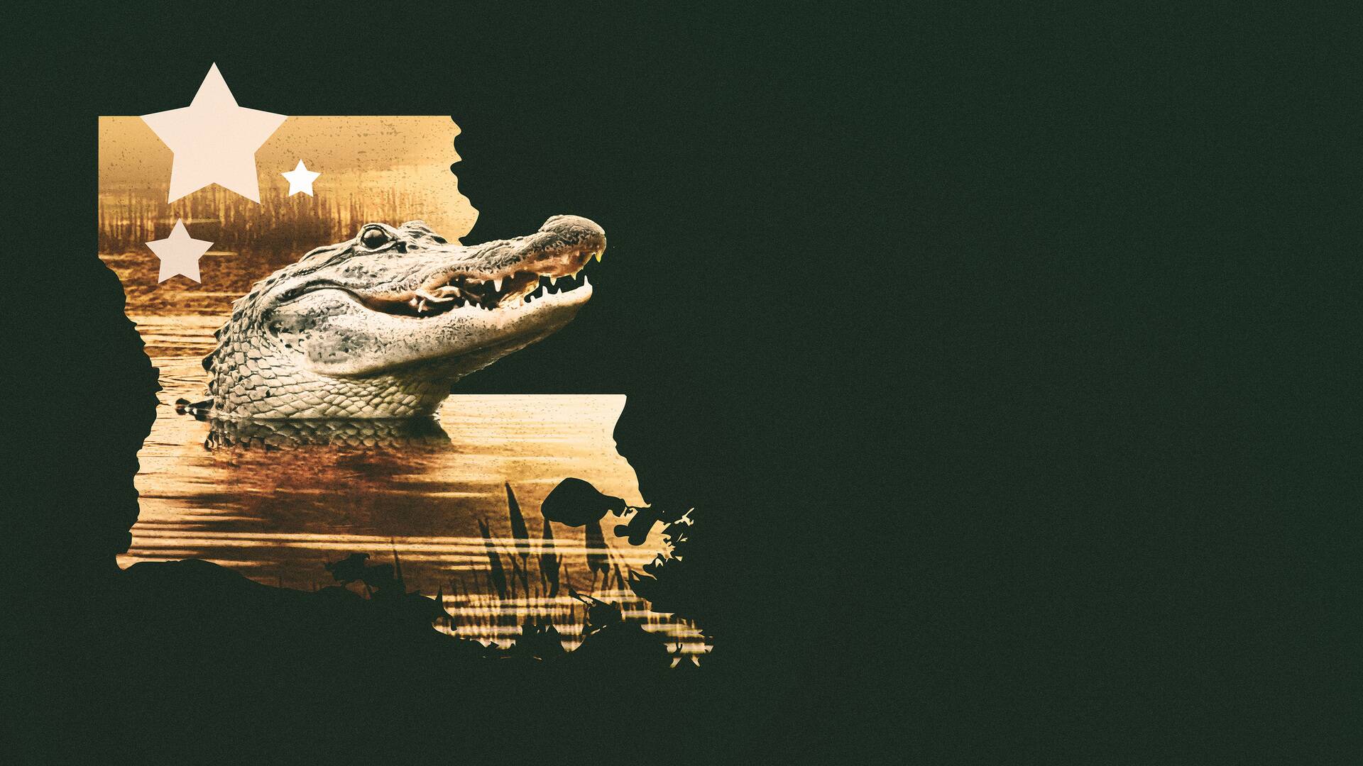 Louisiana Law: Asesinos bajo los focos